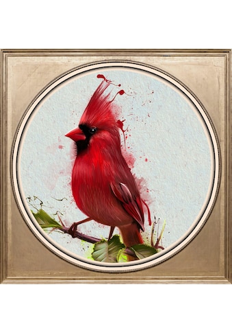 Acrylglasbild »Roter Vogel«