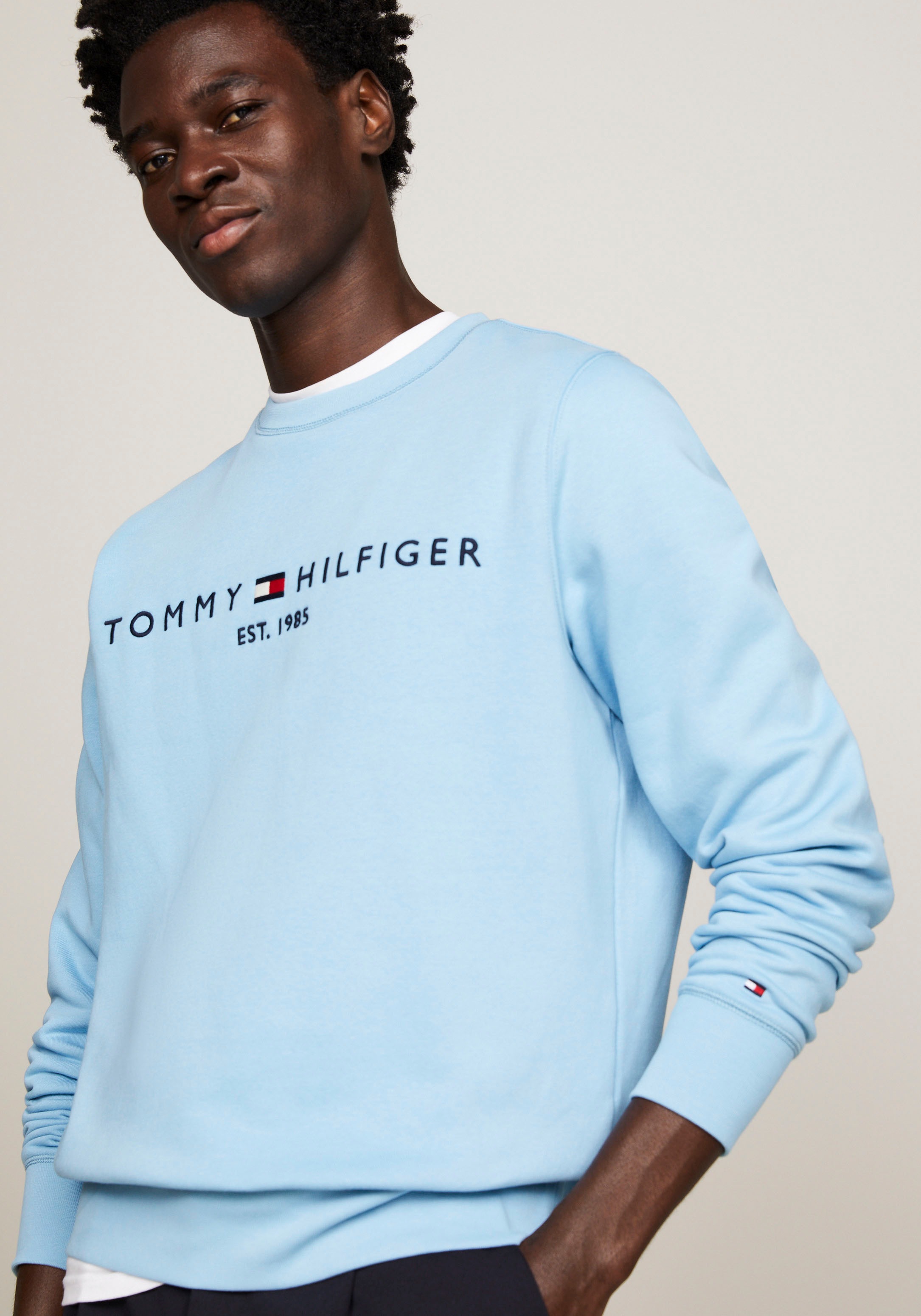 Tommy Hilfiger Sweatshirt »TOMMY LOGO SWEATSHIRT«, mit klassischem Rundhalsausschnitt