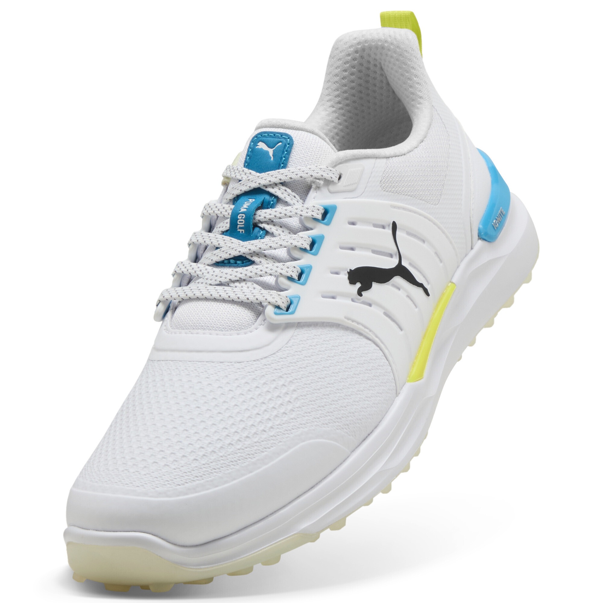 PUMA Golfschuh »IGNITE Elevate 2 Golfschuhe Herren«