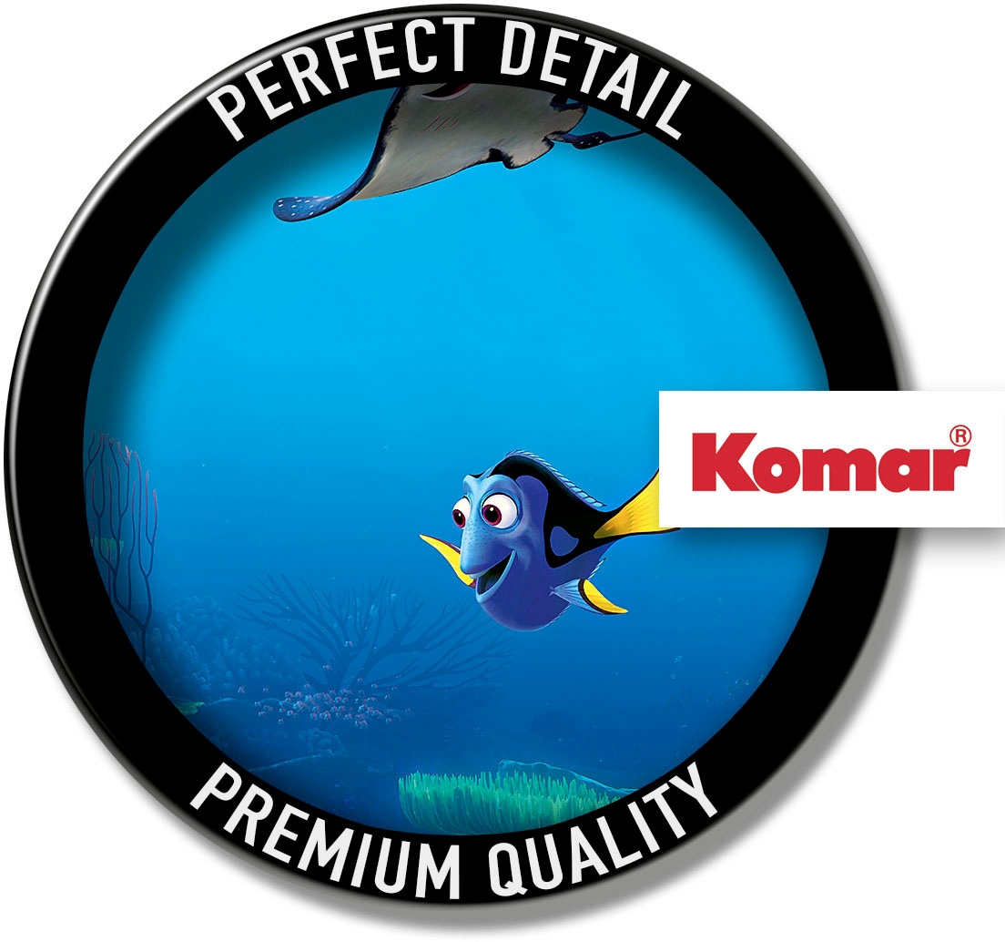 Komar Vliestapete »Digitaldruck Vlies -  Finding Dory - Größe 400 x 260 cm« bedruckt glatt Wohnzimmer, Schlafzimmer