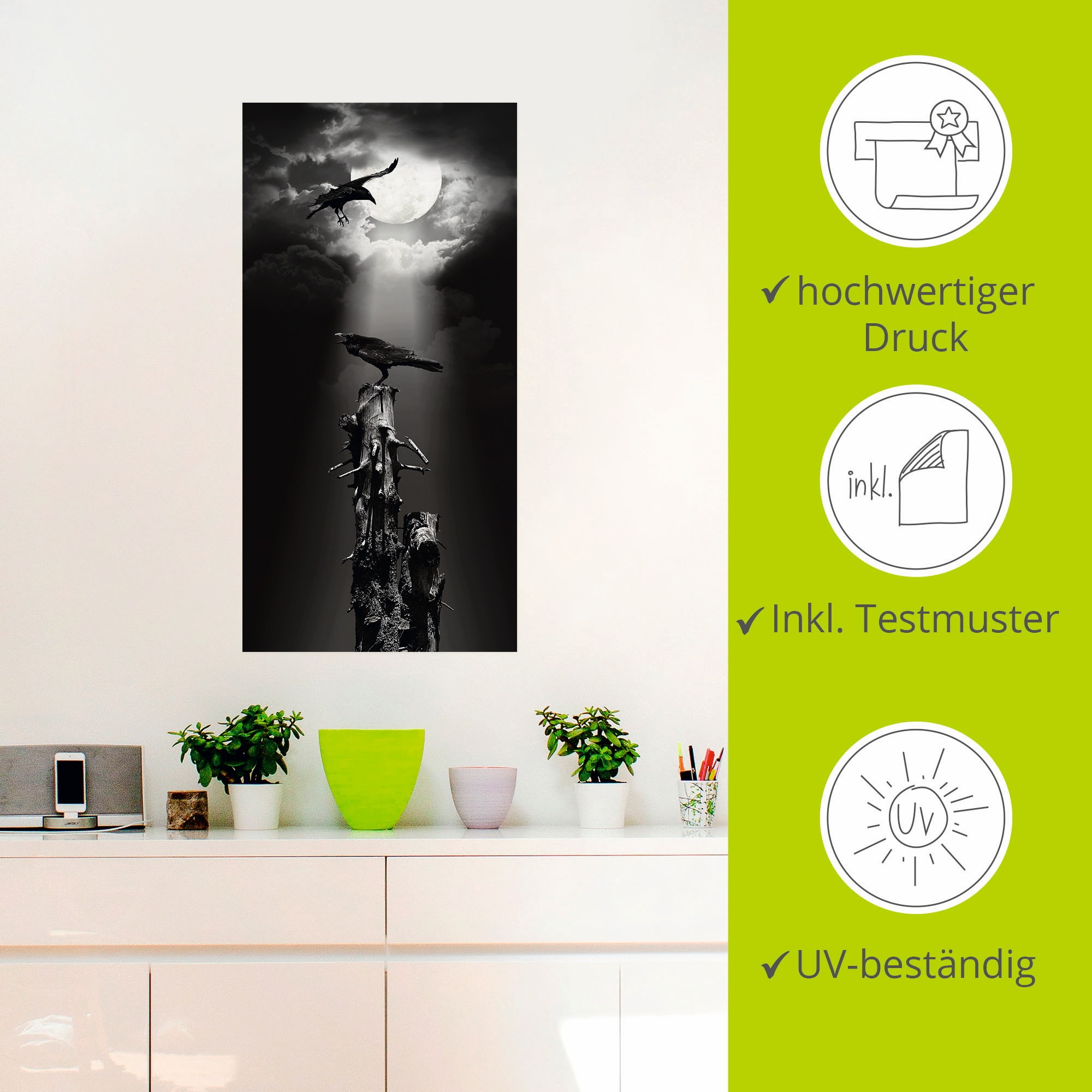 Artland Wandbild »Raben in der Nacht«, Vögel, (1 St.), als Leinwandbild, Poster, Wandaufkleber in verschied. Größen