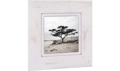 Home affaire Holzbild »Baum«, 40/40 cm kaufen