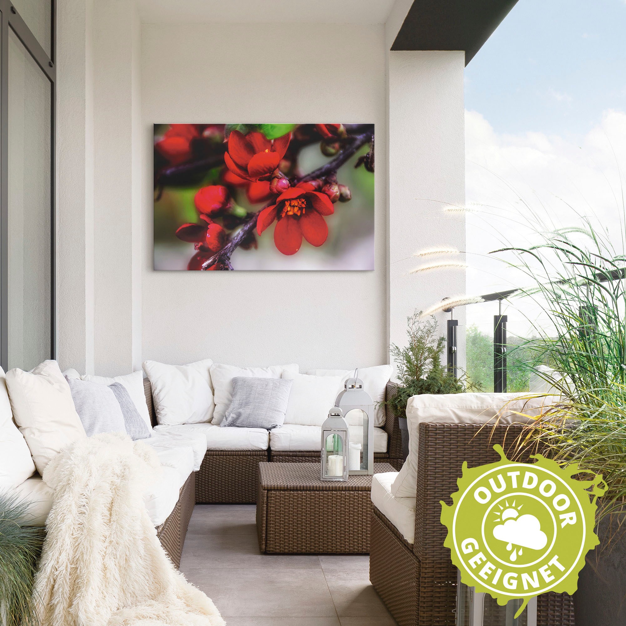 Artland Wandbild »Quittenblüte II«, Blumen, (1 St.), als Alubild, Outdoorbild, Leinwandbild in verschied. Größen