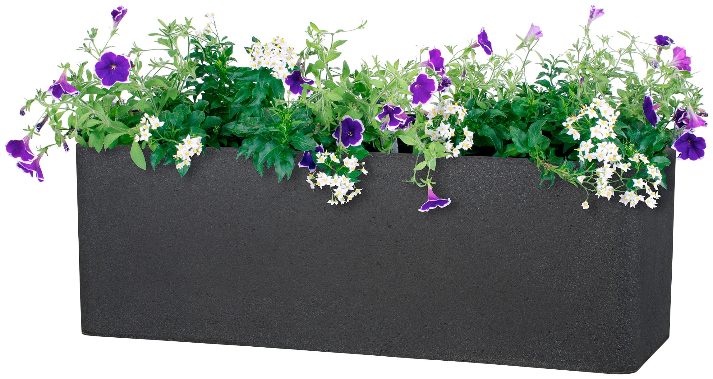 Scheurich Blumentopf »80/140 ALEA BOX«