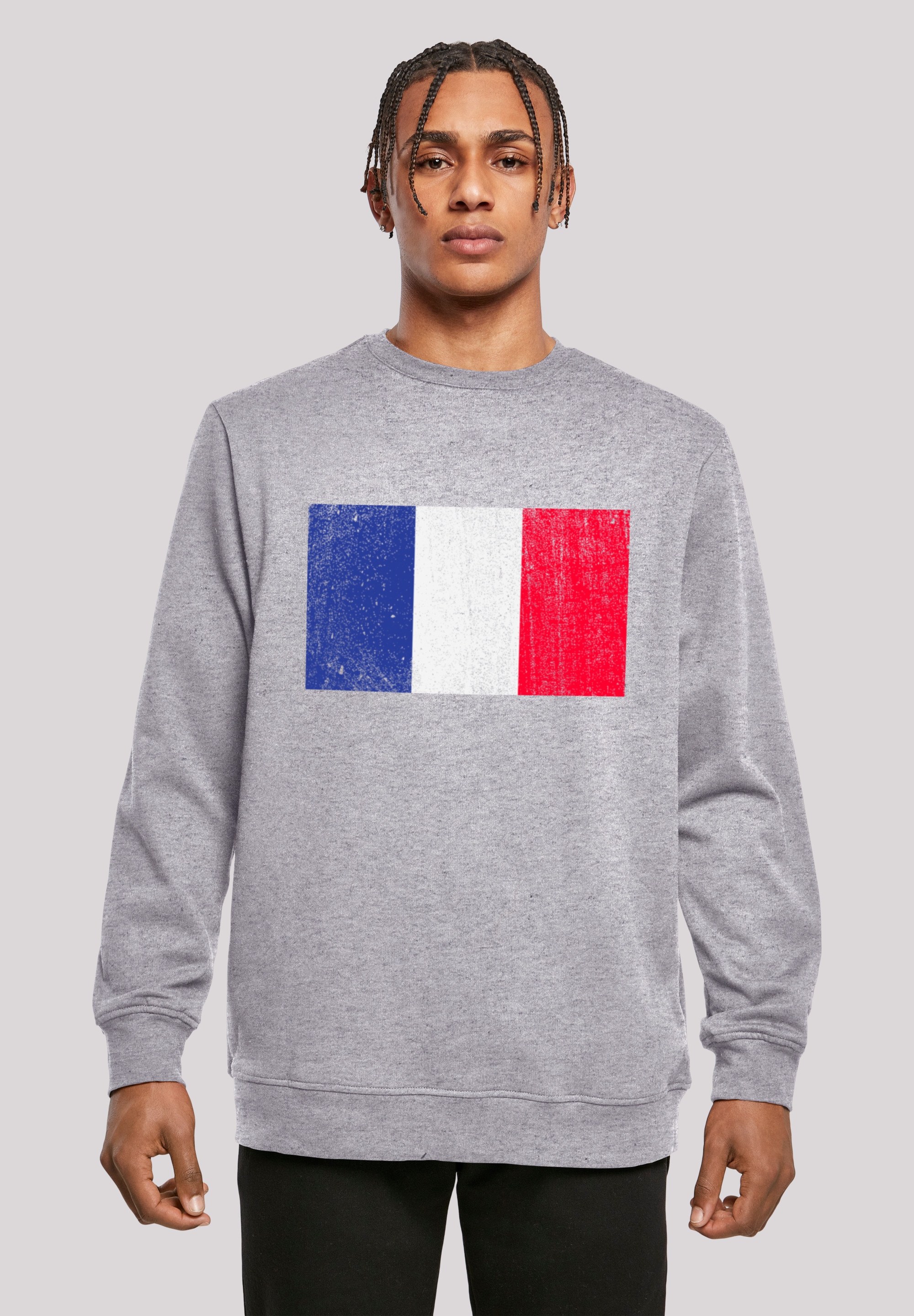 Kapuzenpullover »France Frankreich Flagge distressed«, Print