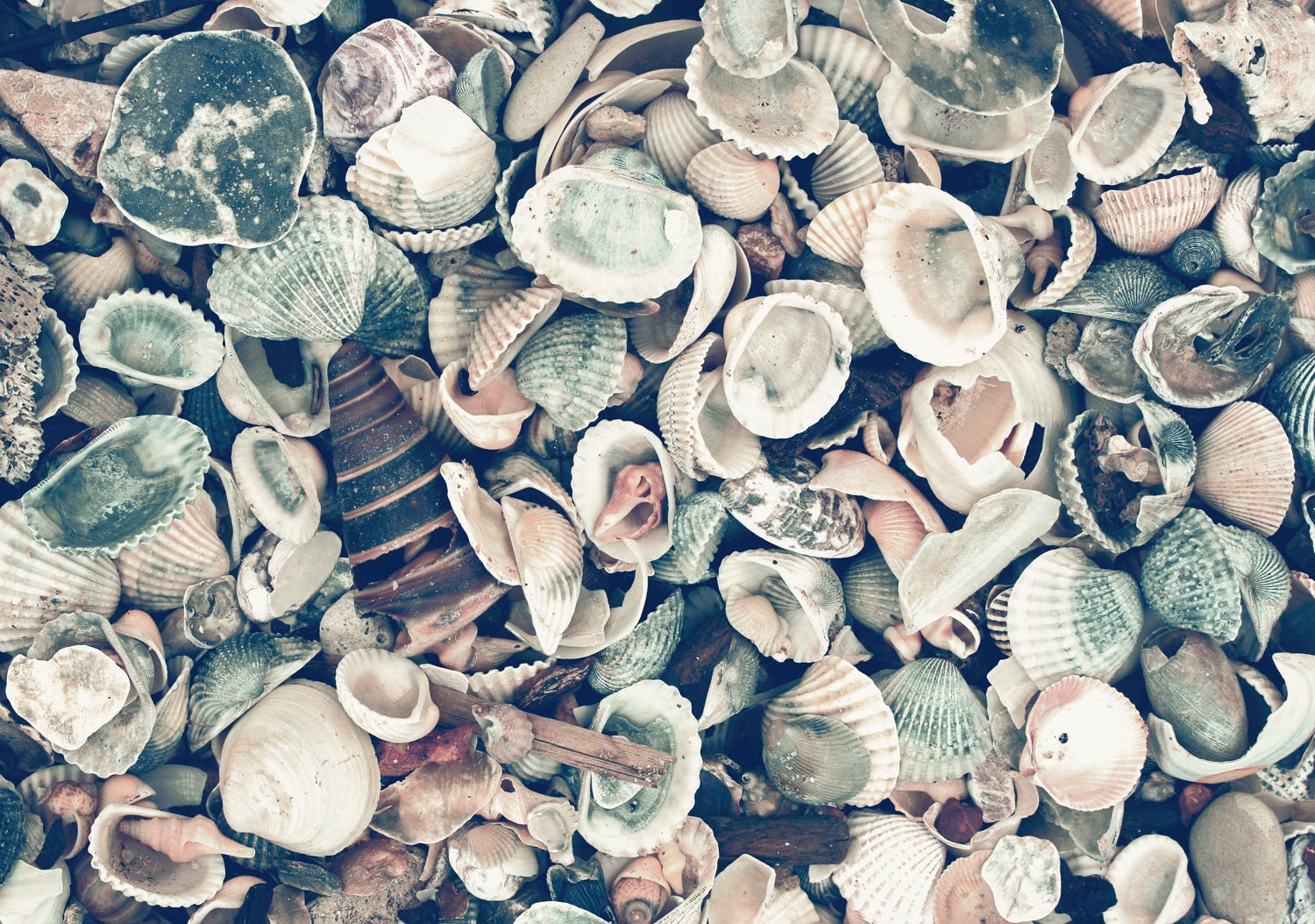 queence Acrylglasbild "Etumu" Foto  Spa  Spa Bilder  Stein  Strand 1 Stk. t günstig online kaufen