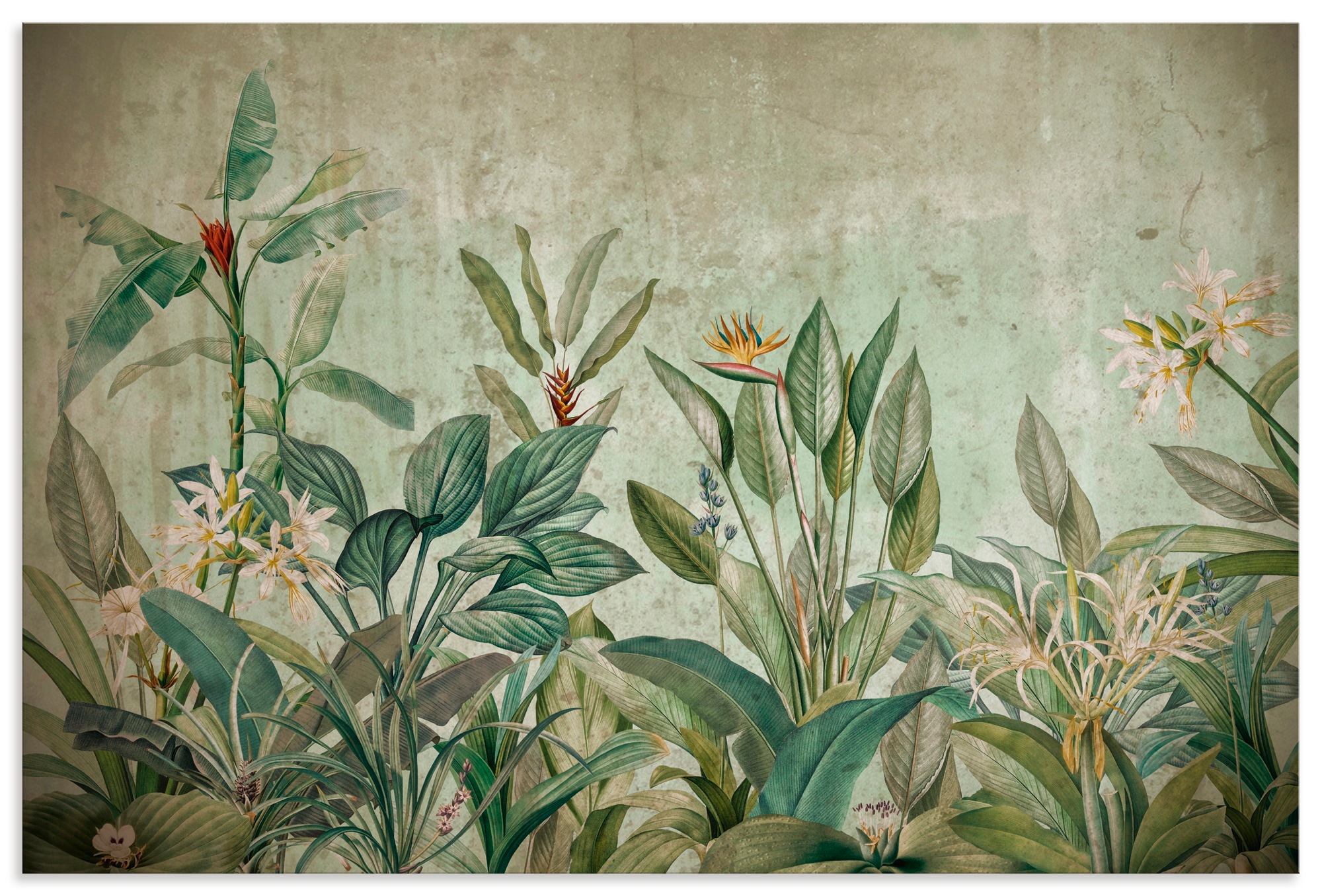 Wandbild ARTLAND, B:90cm H:60cm T:1cmfarbe bild(er): grün, Alu Dibond, Wohnzimmer, Bilder, "Exotische Dschungel Landschaft", als Alubild,