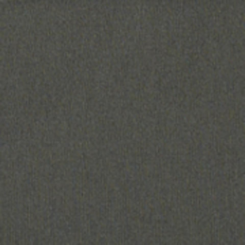 Cecil Shorts  Middle Waist