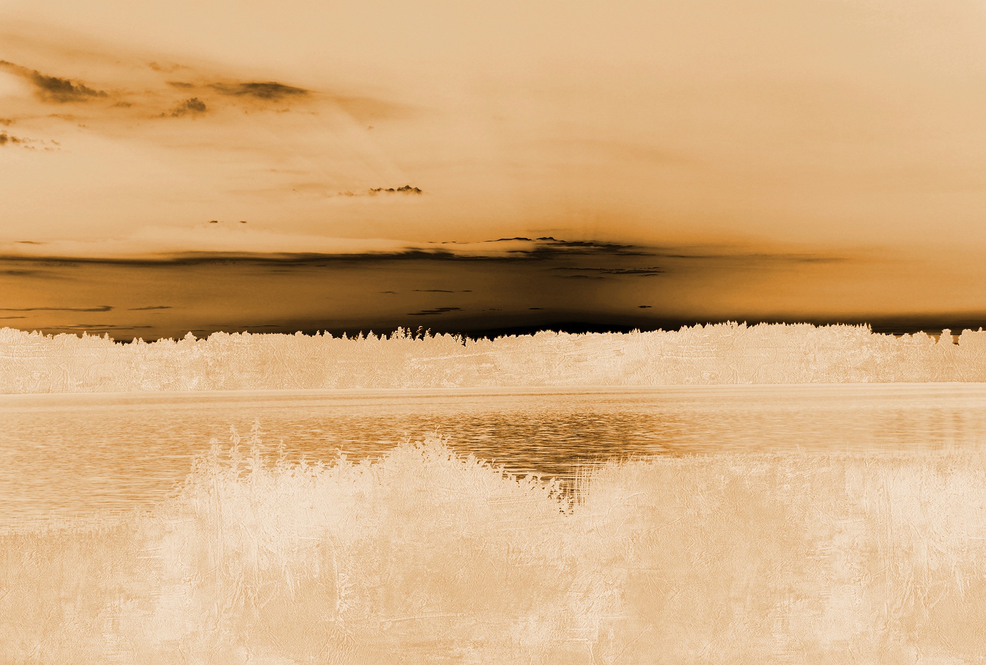 Architects Paper Fototapete "Atelier 47 Landscape Artwork 1" Wald glatt Vlies, Wand, Schräge, Decke