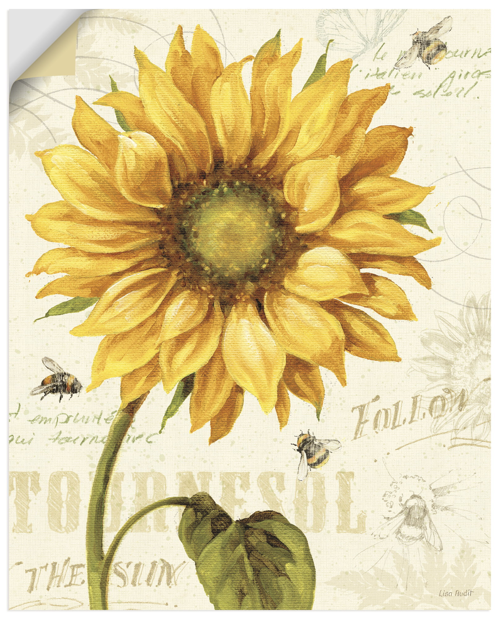 Artland Wandbild "Under the Sun I" Blumenbilder 1 Stk. tlg. als Alubild, Leinwandbild, Poster, Wandaufkleber in verschied. Größen