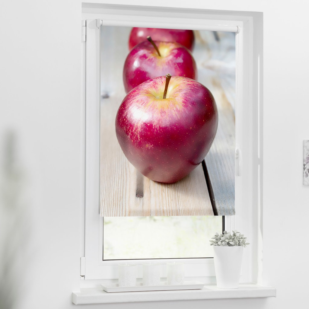 LICHTBLICK ORIGINAL Seitenzugrollo »Klemmfix Motiv Apfel«, Lichtschutz, ohne Bohren, freihängend