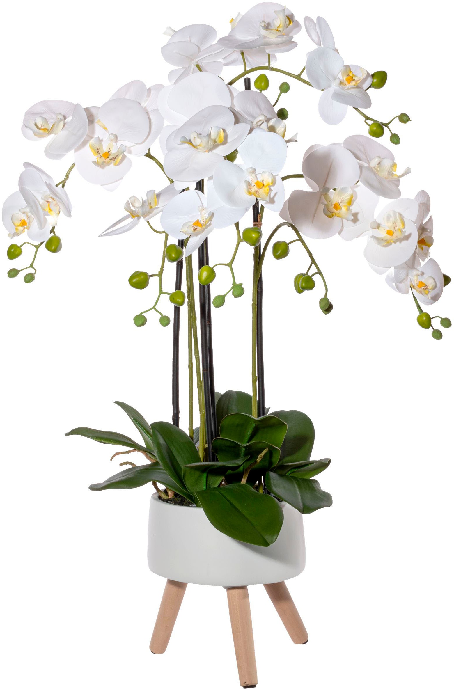 Creativ green Kunstorchidee "Orchidee Phalaenopsis in Keramikschale", mit Real-Touch-Blüten und auf Füßen