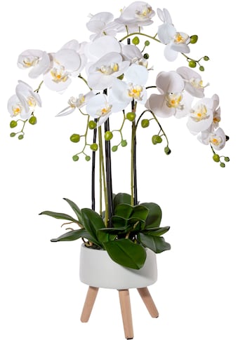 Kunstorchidee »Orchidee Phalaenopsis in Keramikschale«