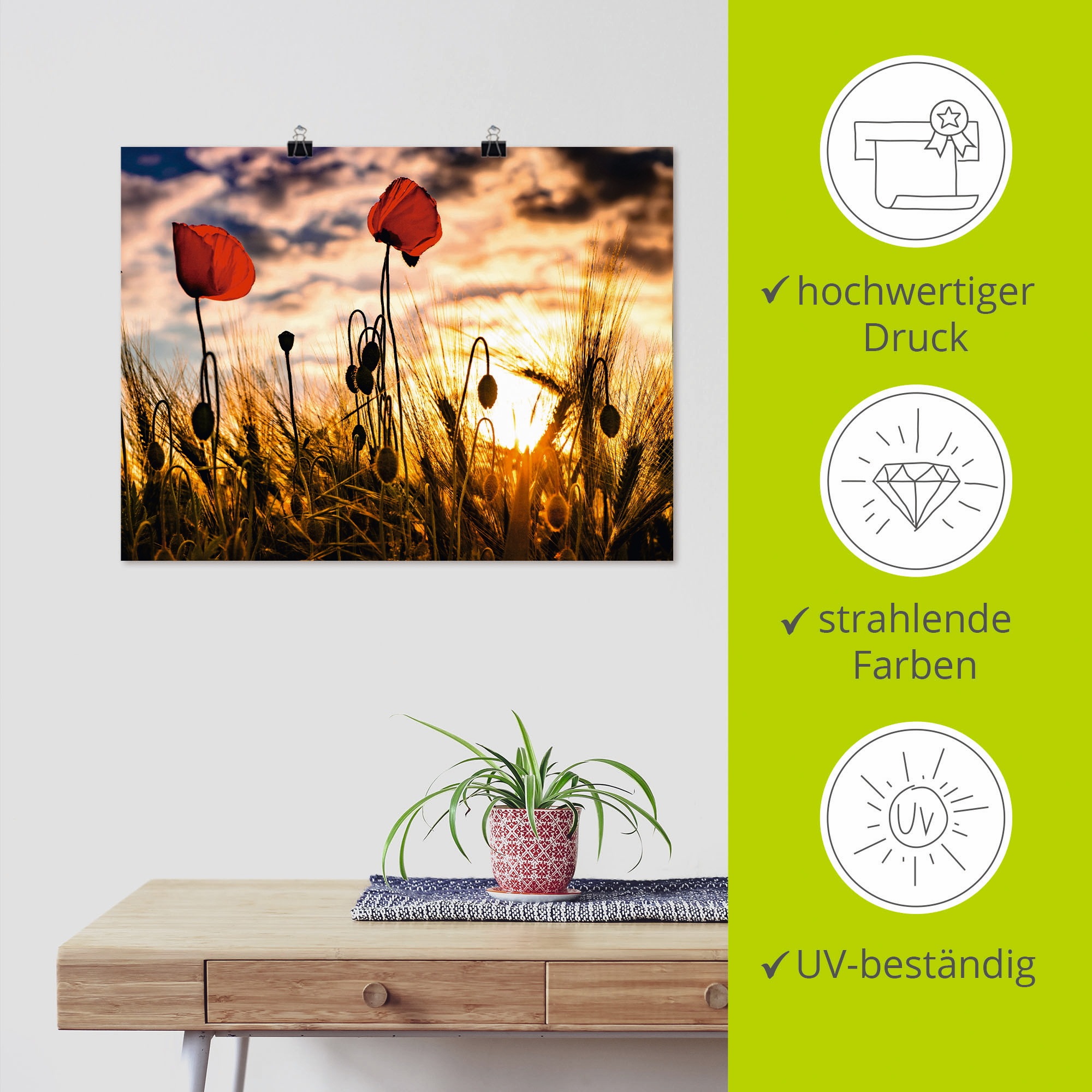 Artland Wandbild »Mohnblumen im Sonnenuntergang«, Blumen, (1 St.), als Alubild, Outdoorbild, Leinwandbild, Poster, Wandaufkleber