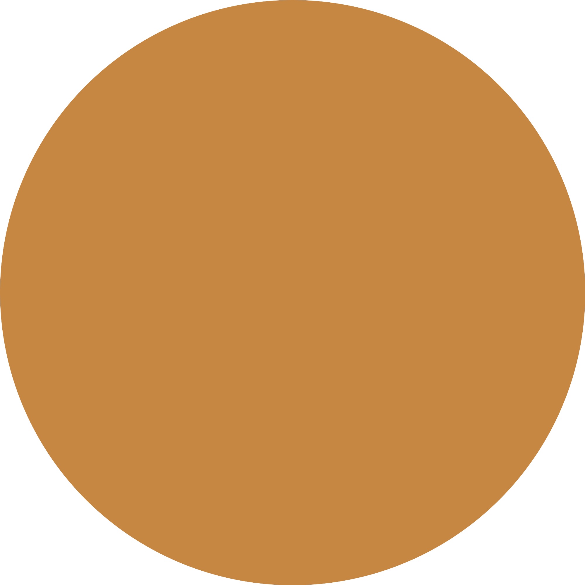 Essence Foundation »SKIN tint«, (3er Pack), mit veganen Inhaltsstoffen