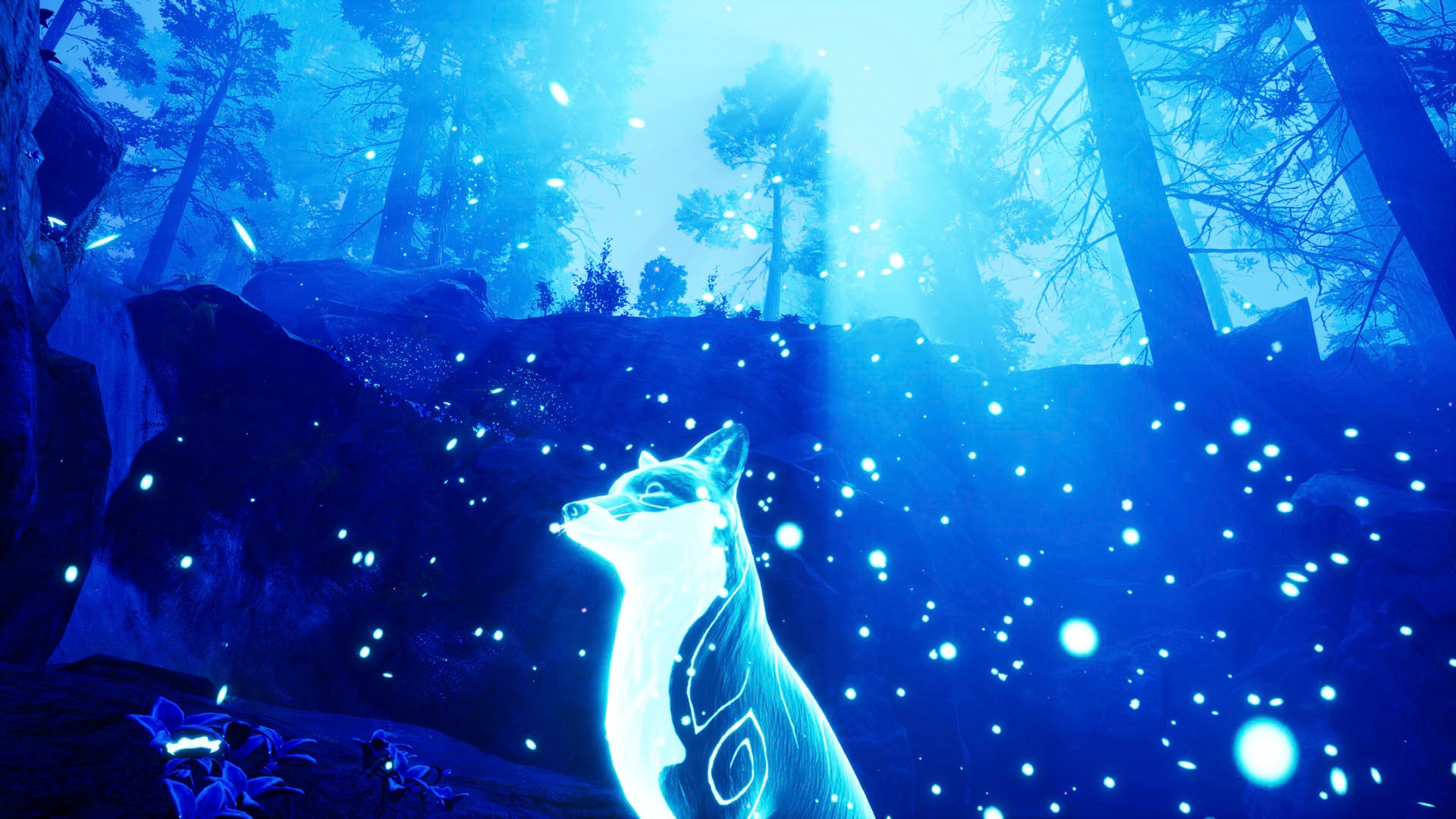 PlayStation 5 Spielesoftware »Spirit of the North«, PlayStation 5
