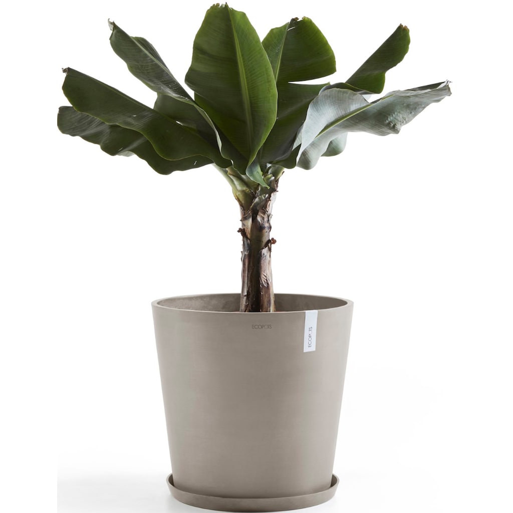 ECOPOTS Blumentopf »Amsterdam 50 + Wassersystem Taupe«