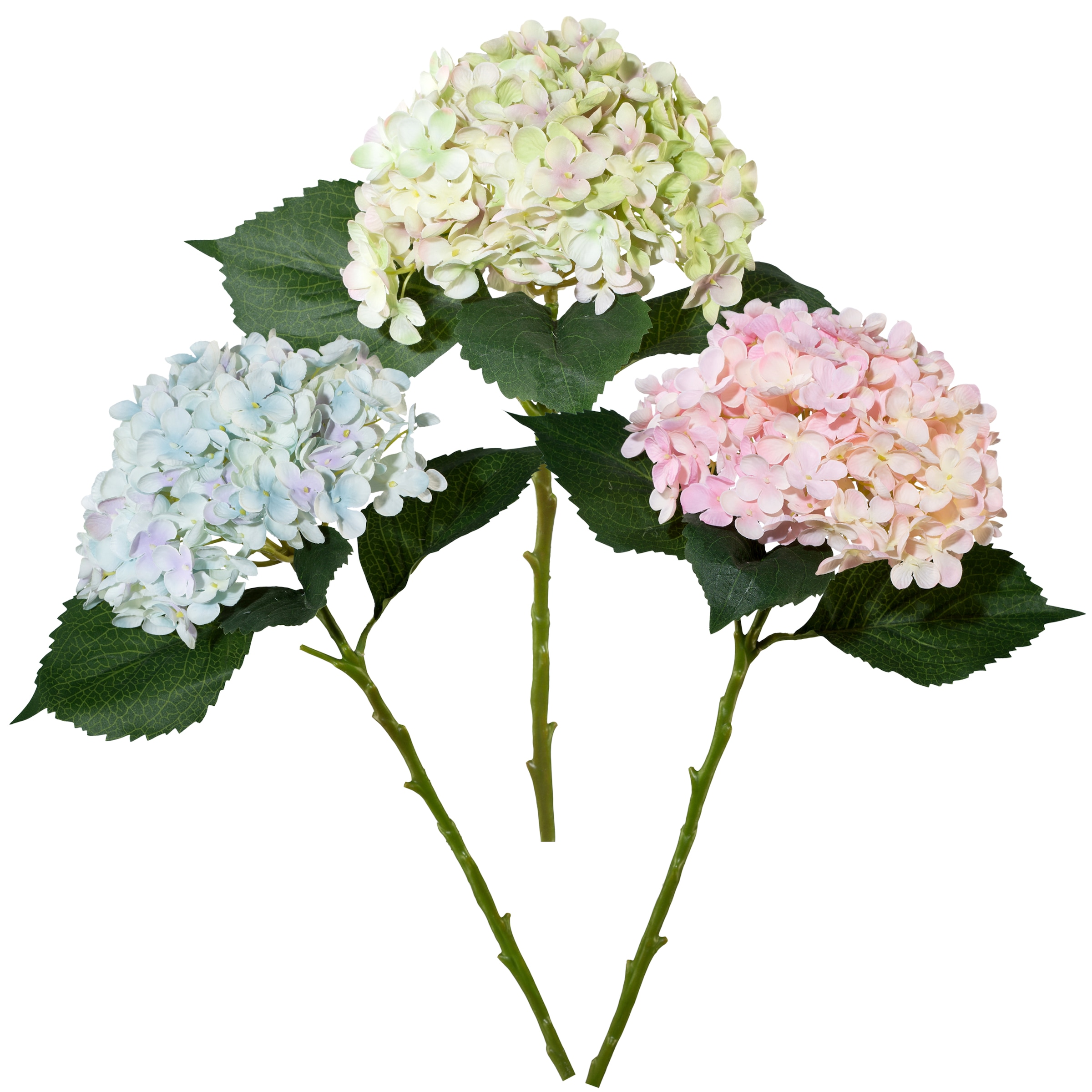 Creativ green Kunstpflanze "3er-Set" günstig online kaufen