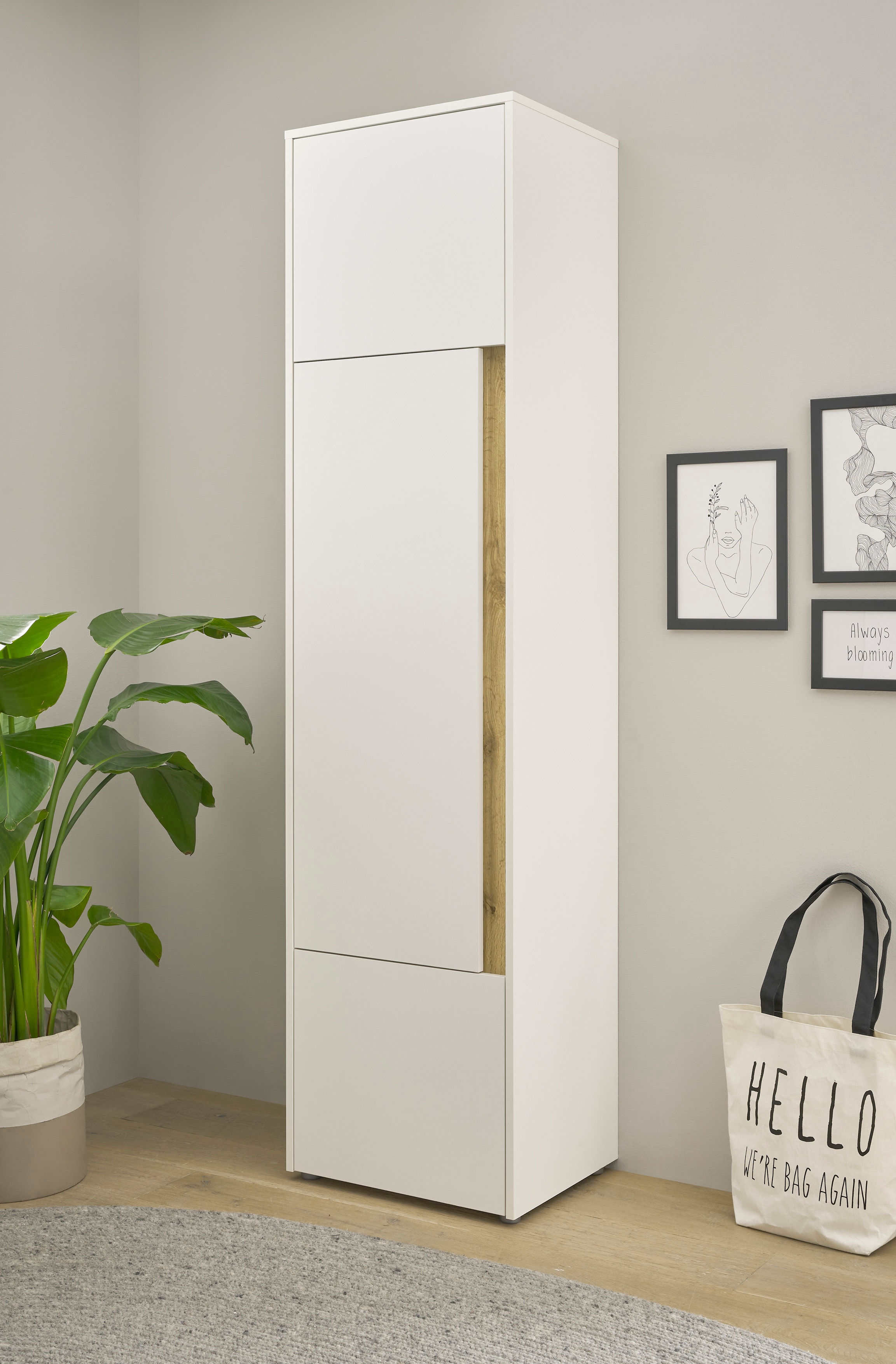 Home affaire Aktenschrank "CiTY/GiRON" Stauraumschrank zeitlos modern, wohnliches Home Office, Breite 50 cm
