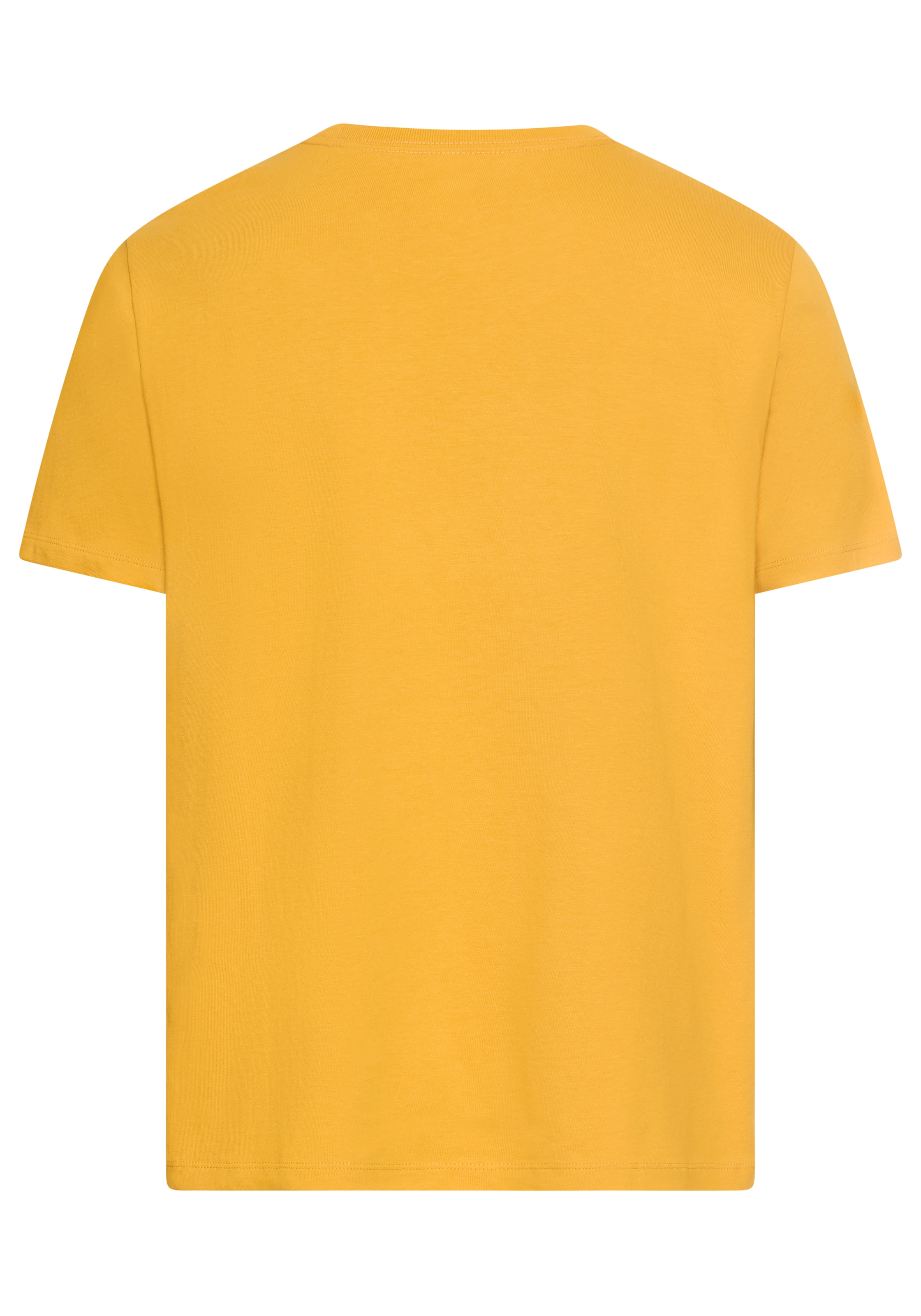 Levi's® T-Shirt »ORIGINAL HM TEE«