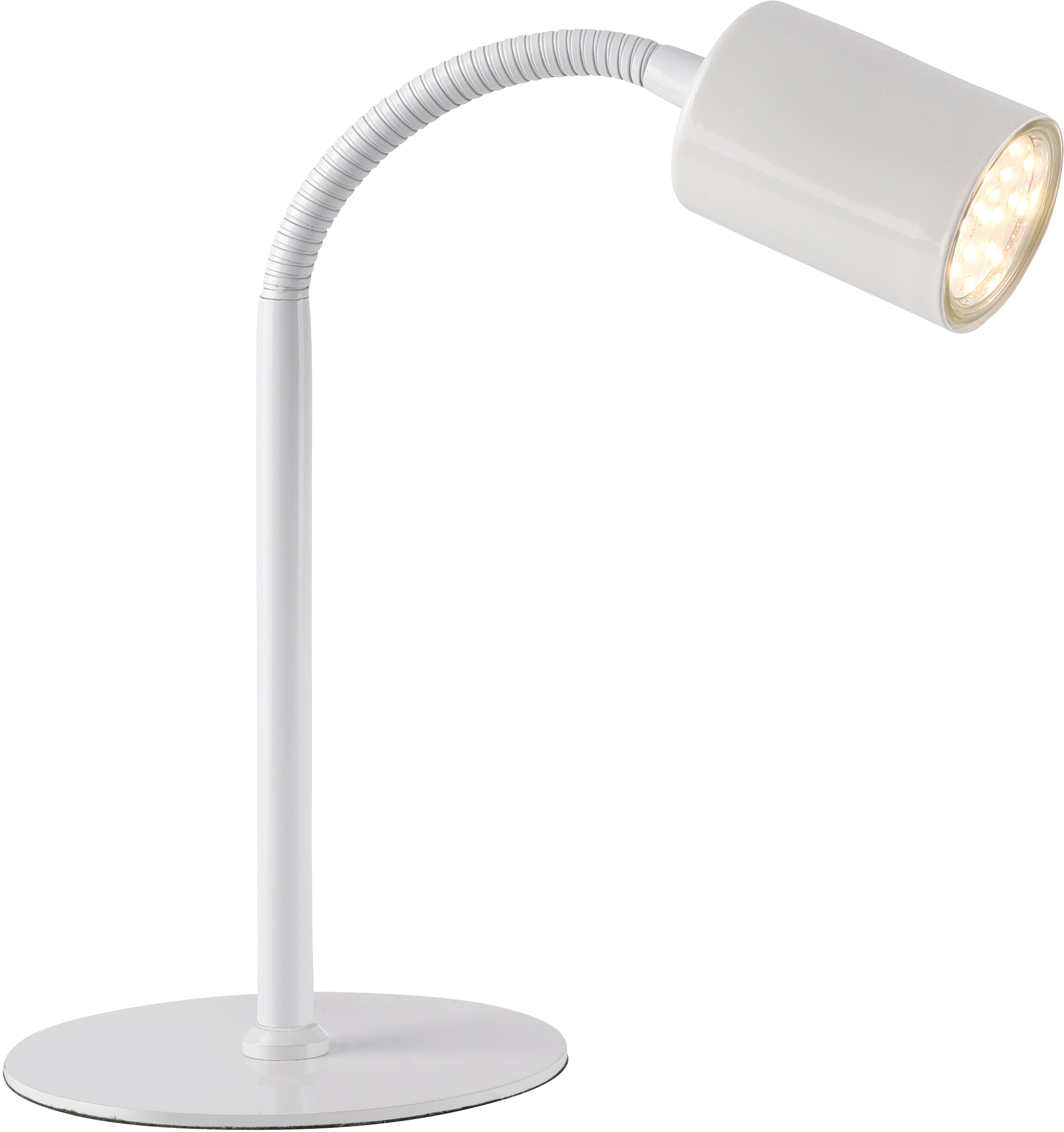my home LED Tischleuchte Tischlampe, | bei schwenkbarer Sale Reflektor »Maci«, BAUR Licht, 1 flammig-flammig, dreh- und warmweißes
