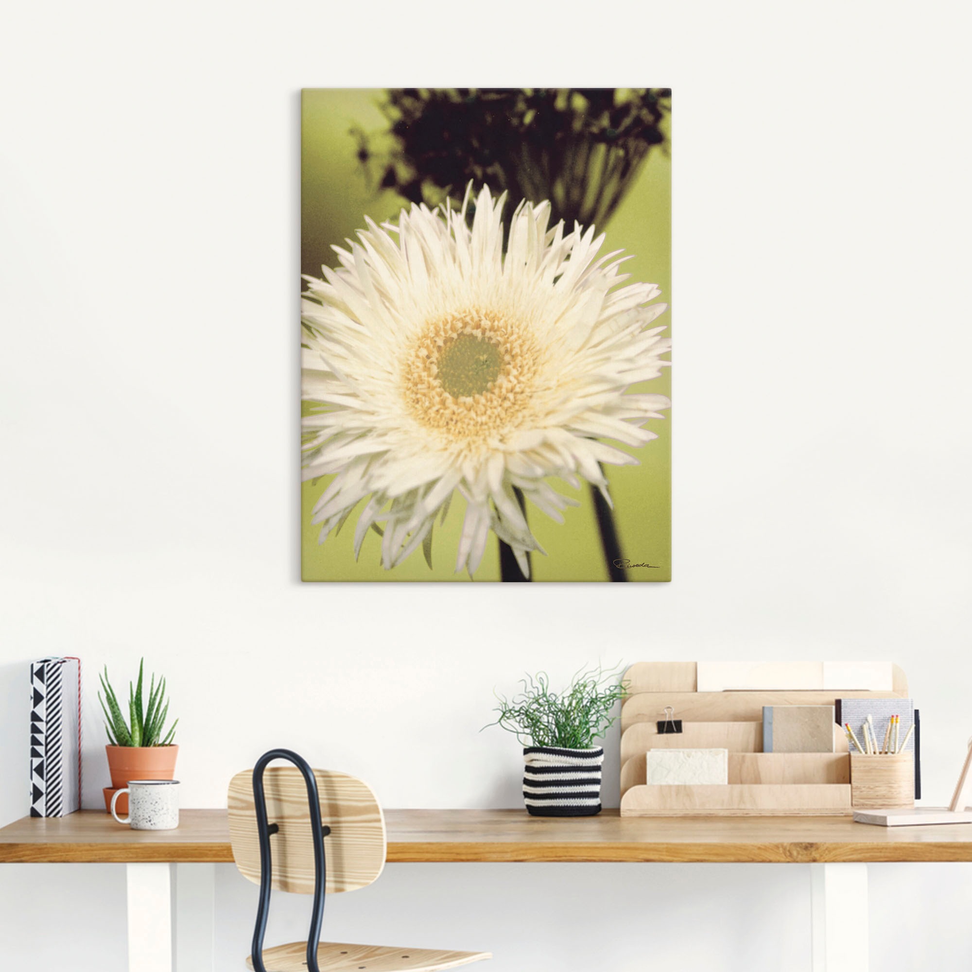 Artland Leinwandbild »Eine vor grün - Gerbera«, Blumenbilder, (1 St.), auf Keilrahmen gespannt