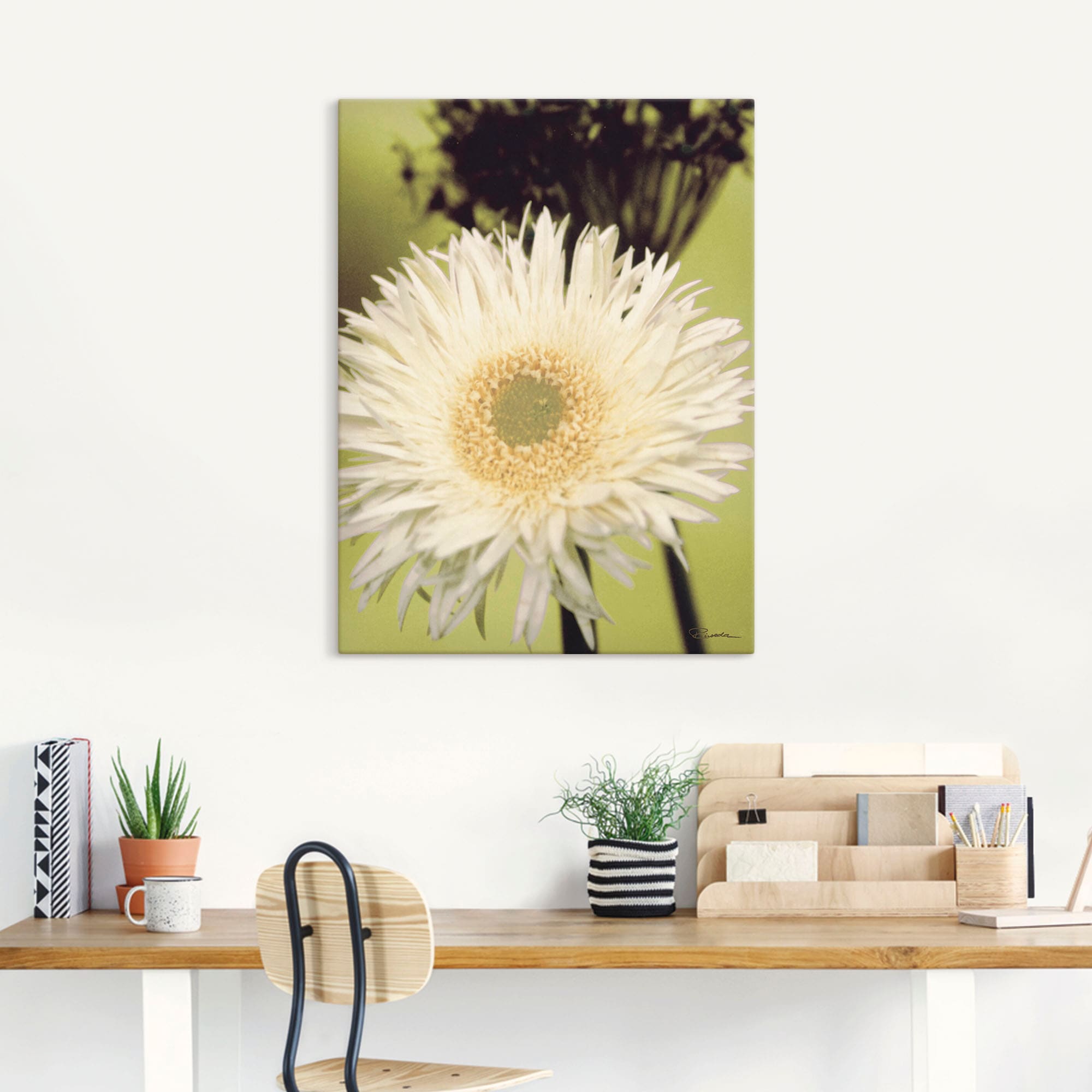 Artland Leinwandbild "Eine vor grün - Gerbera", Blumenbilder, (1 St.), auf günstig online kaufen