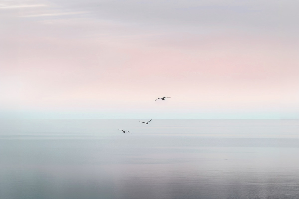 A.S. Création Leinwandbild "Calm Sea - Wandbild Grau Rosa Schwarz Keilrahme günstig online kaufen