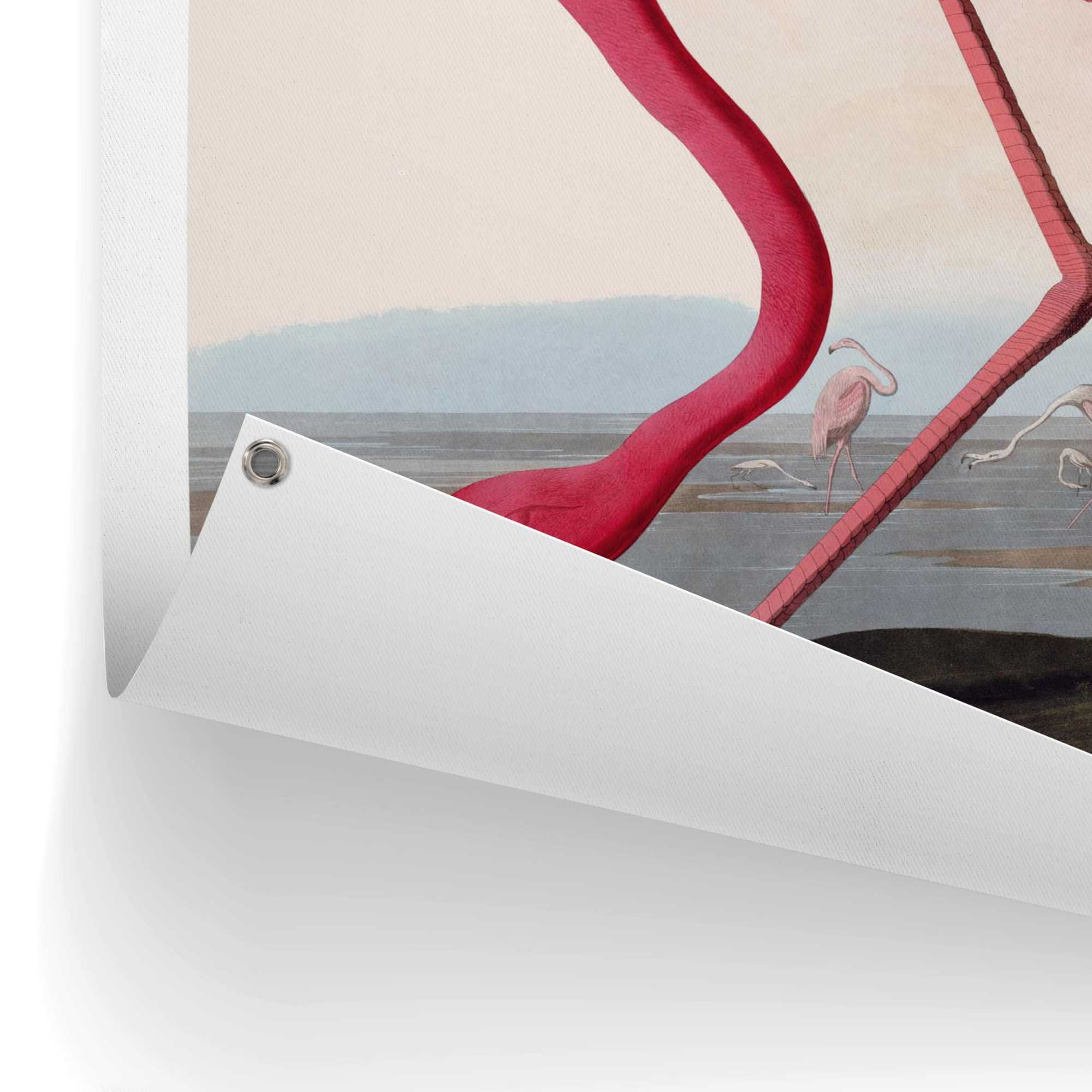 Reinders! Poster »Audubon Flamingo«, Garten - Rosa - Leinwand - Tiere - 60x80 cm