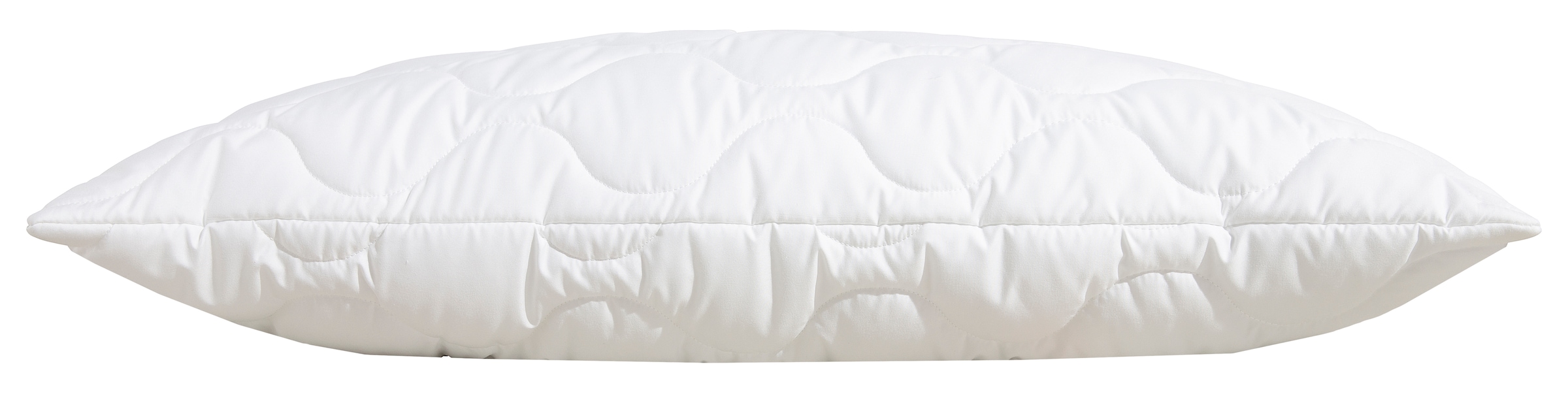 Beco Kopfkissen »EcoWell«, Füllung: Polyester, Bezug: Bio-Baumwolle oder Microfaser-Feinbatist samtweich, (1 St.), Kissen in den Größen 40x80 cm und 80x80 cm erhältlich!