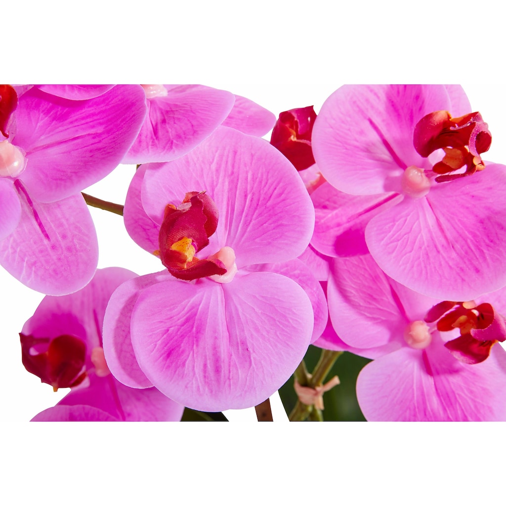 Leonique Kunstpflanze »Orchidee«