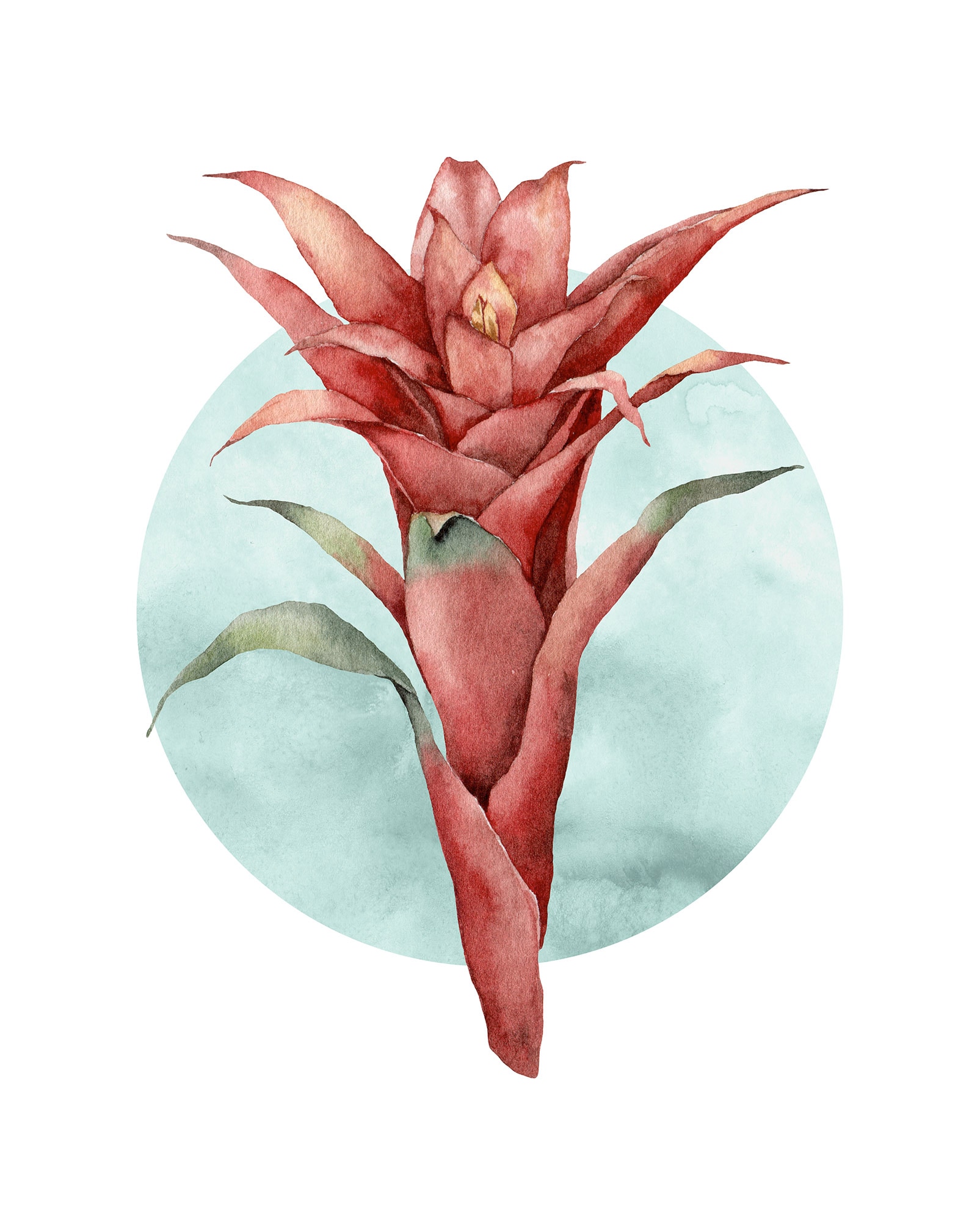 Komar Bild "Funky Flower" Natur 1 Stk. tlg. Wandbild zur Dekoration - ohne günstig online kaufen