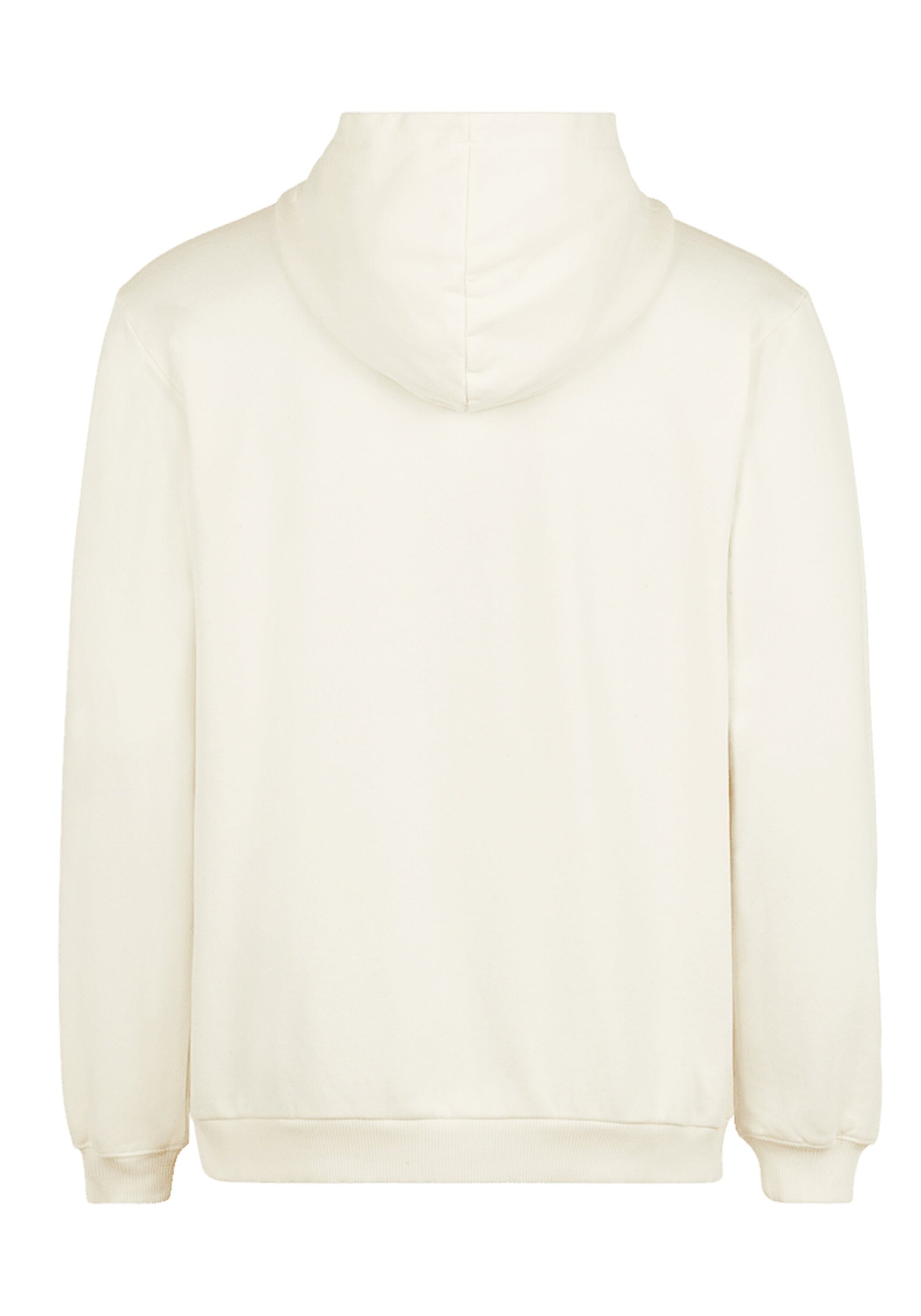Fila Sweatshirt »Sweatshirt BISCHKEK hoody«