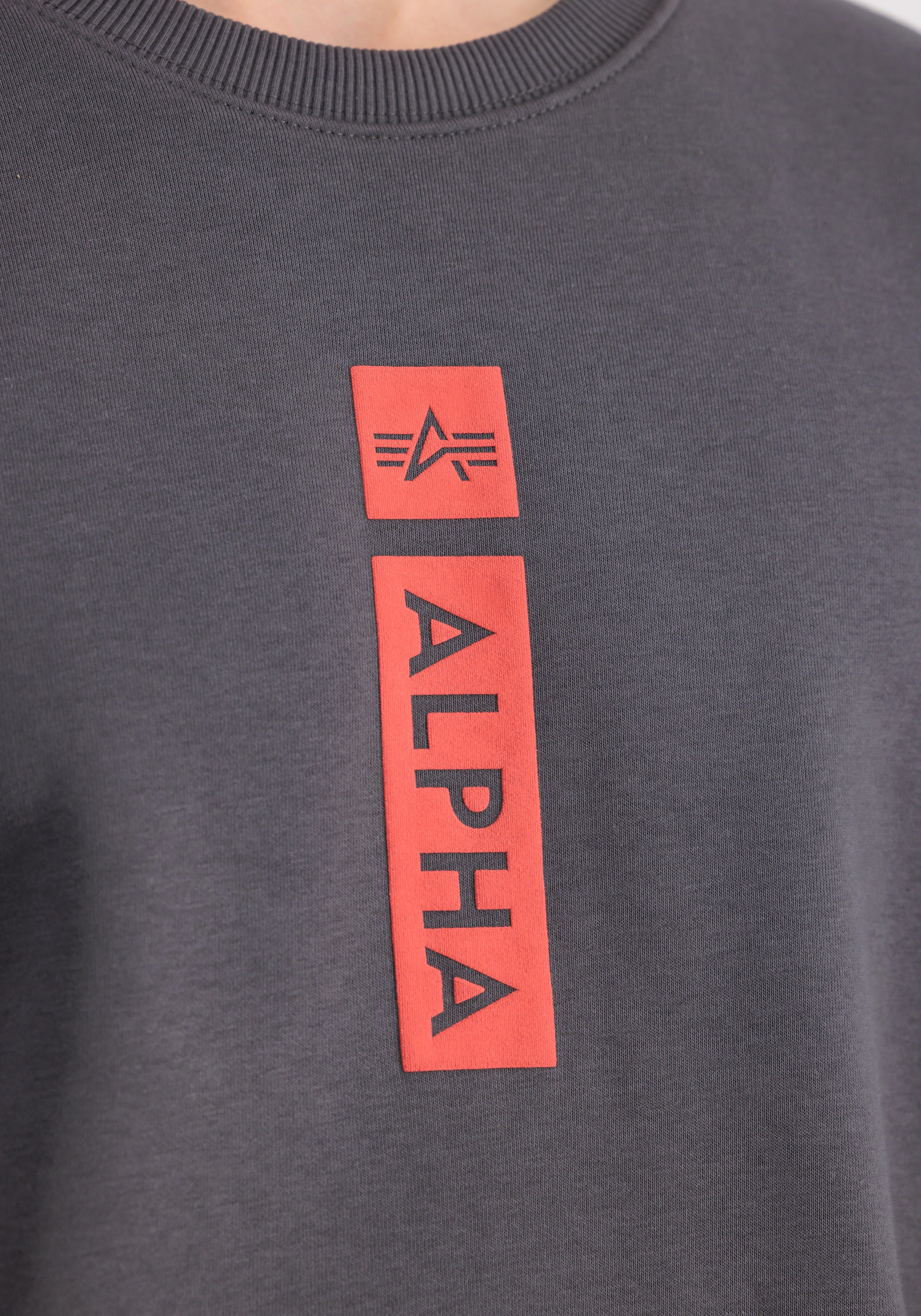 Alpha Industries Sweater »Alpha Industries Men - Sweatshirts Alpha Refl. Print Sweater«