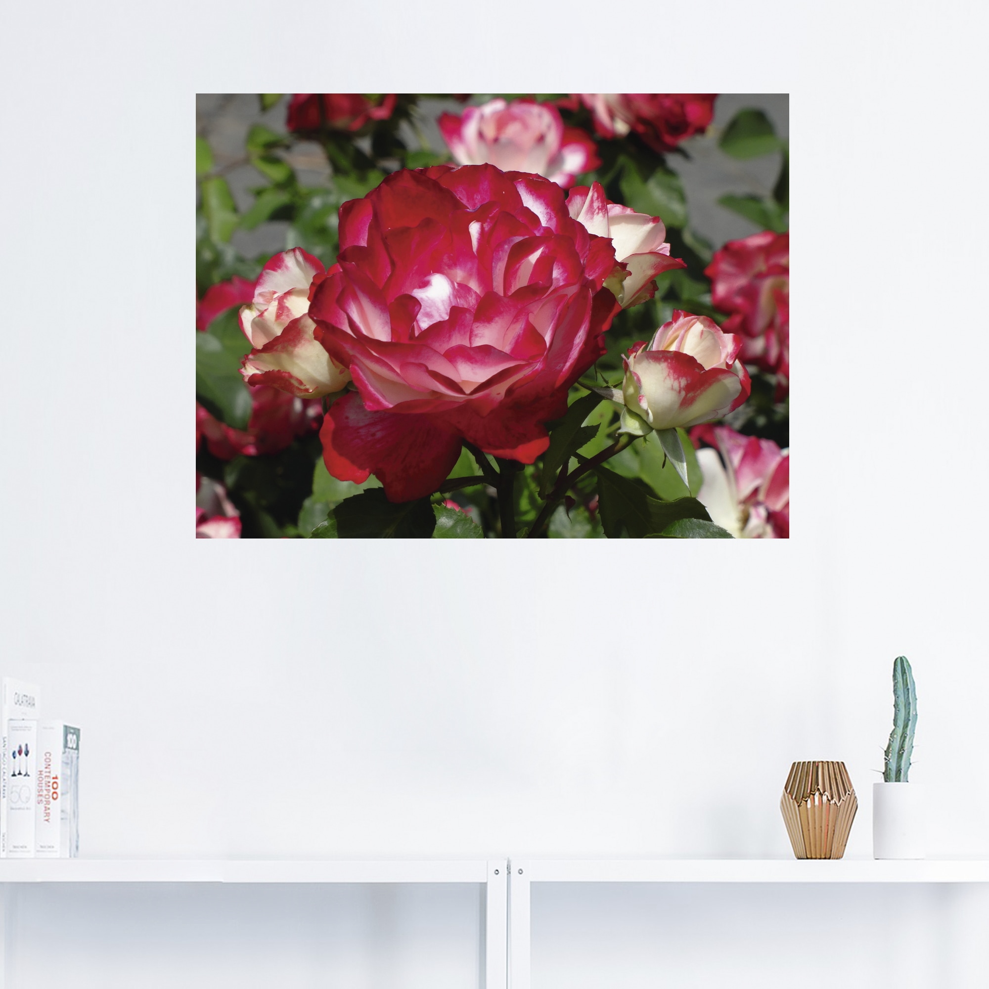 Artland Wandbild »Rot weiße Rosenblüte«, Blumen, (1 St.), als Poster, Wandaufkleber in verschied. Größen