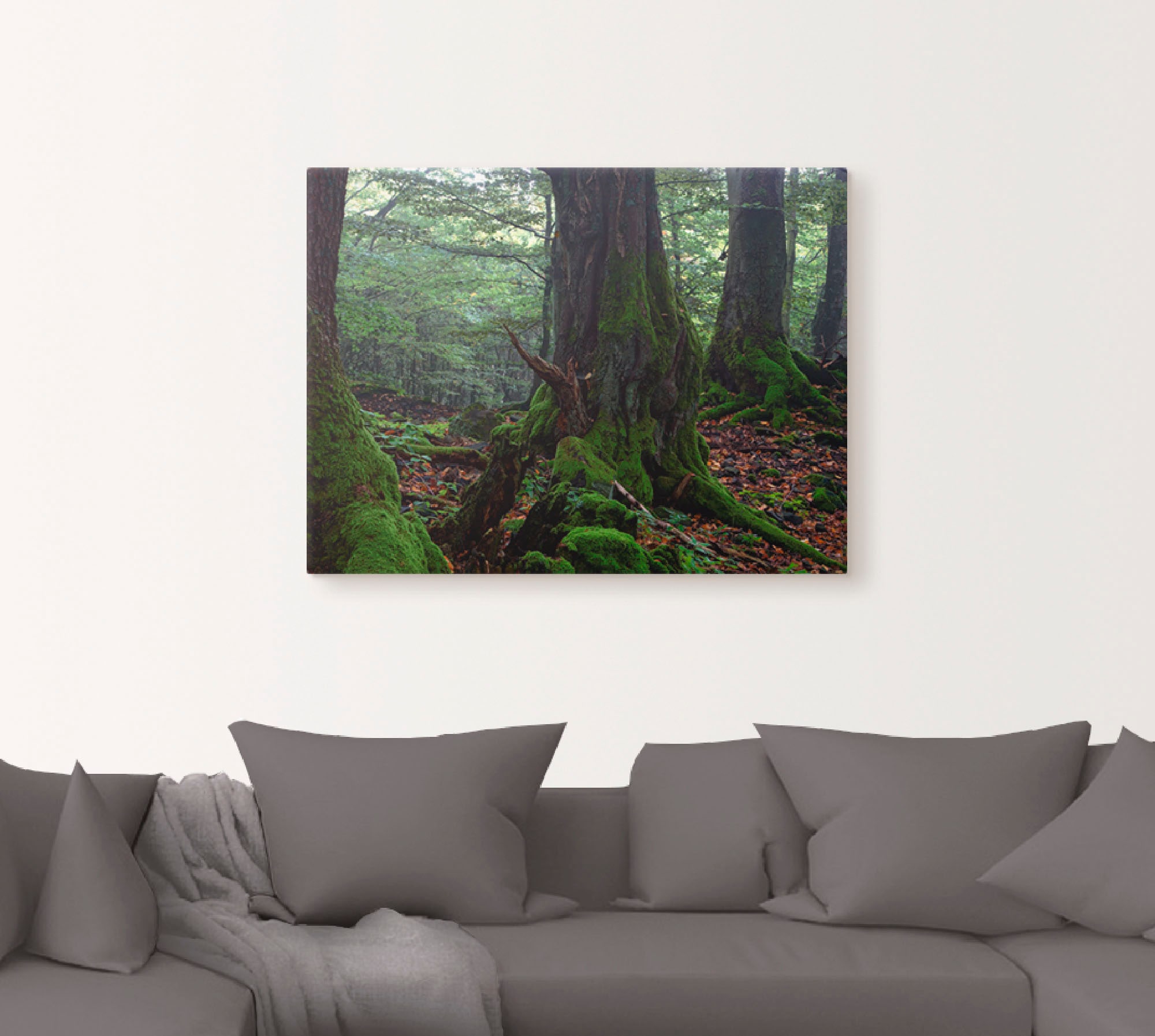 Artland Leinwandbild »Alte Bäume am Kraterrand«, Wald, (1 St.), auf Keilrahmen gespannt
