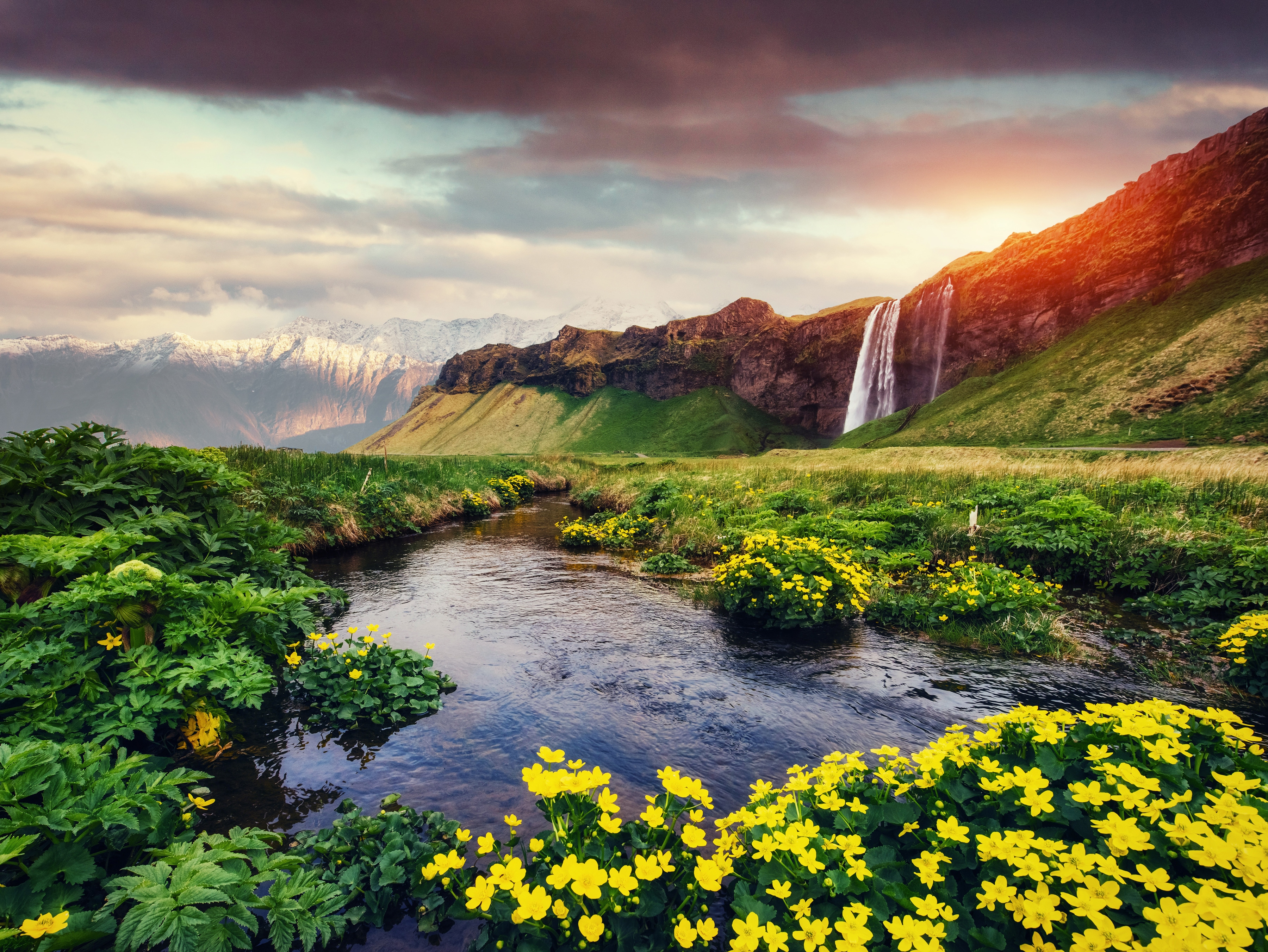 Papermoon Fototapete "Seljalandfoss waterfall Iceland" glatt