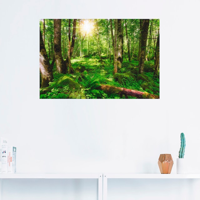 Artland Wandbild »Wald«, Wald, (1 St.), als Alubild, Leinwandbild,  Wandaufkleber oder Poster in versch. Größen kaufen | BAUR