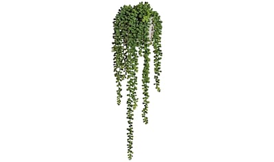 Creativ green Kunstranke »Sedumhänger«, (1 St.), im Zementtopf kaufen