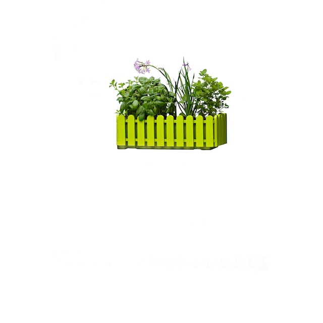 Poétic Blumenkasten »LANDHAUS«, (1 St.), BxTxH: 50x20x16 cm kaufen | BAUR