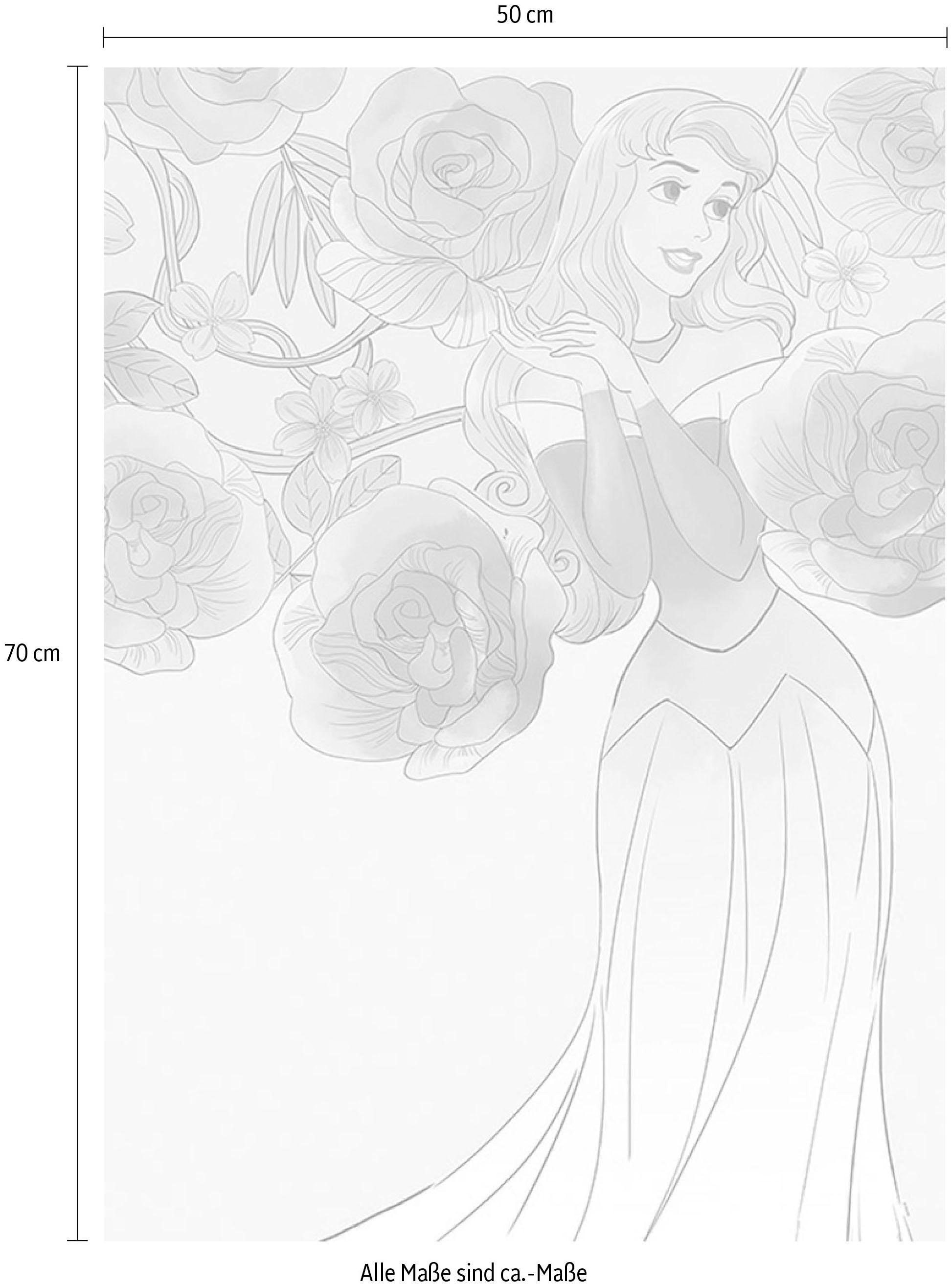 Komar Poster »Sleeping Beauty Roses«, Disney, (1 St.), Kinderzimmer,  Schlafzimmer, Wohnzimmer | BAUR