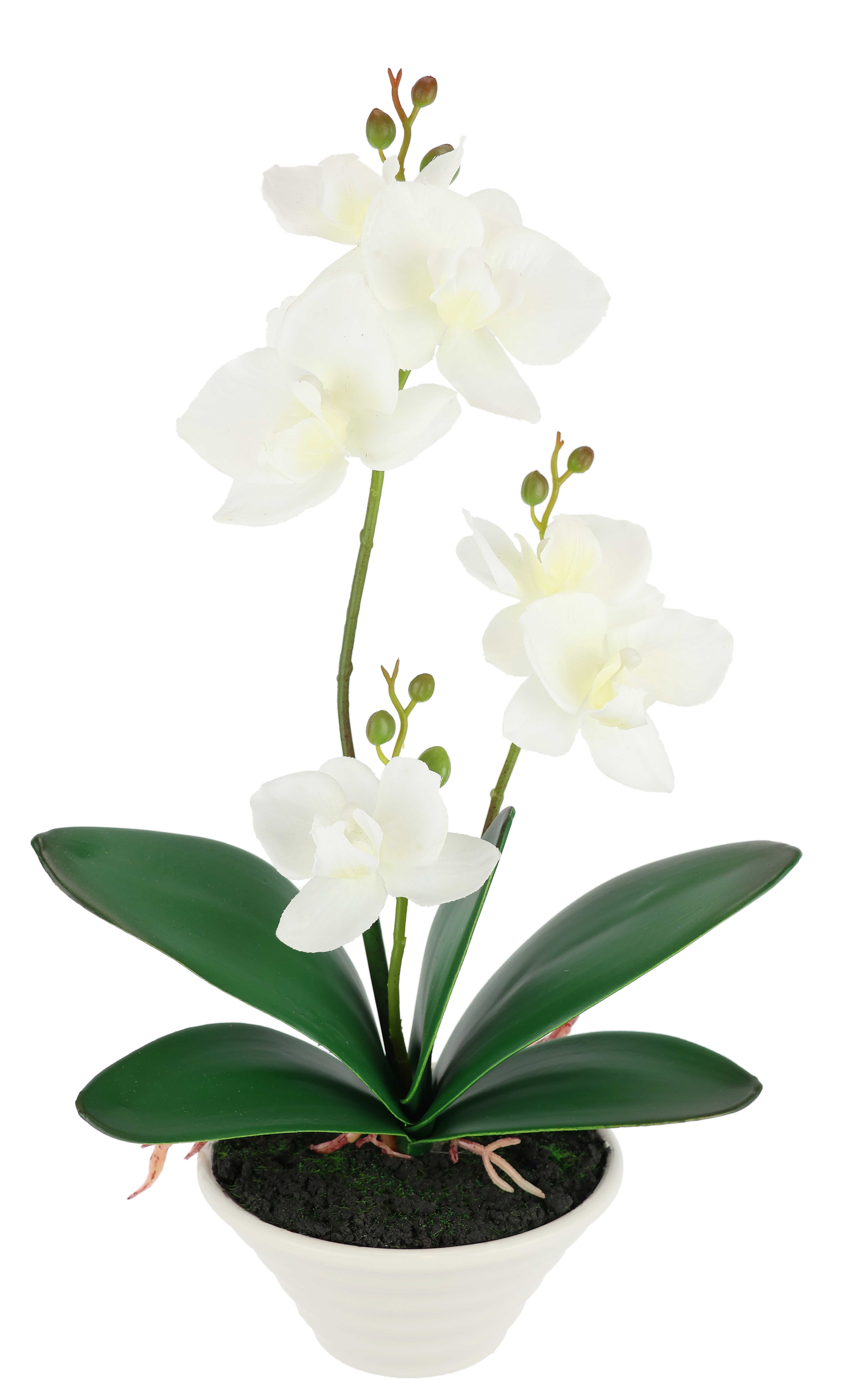 I.GE.A. Kunstblume "Kunstorchidee im Topf" 30cm künstliche Orchidee mit Blüten Phalaenopsis Kunstpflanze Pflanze