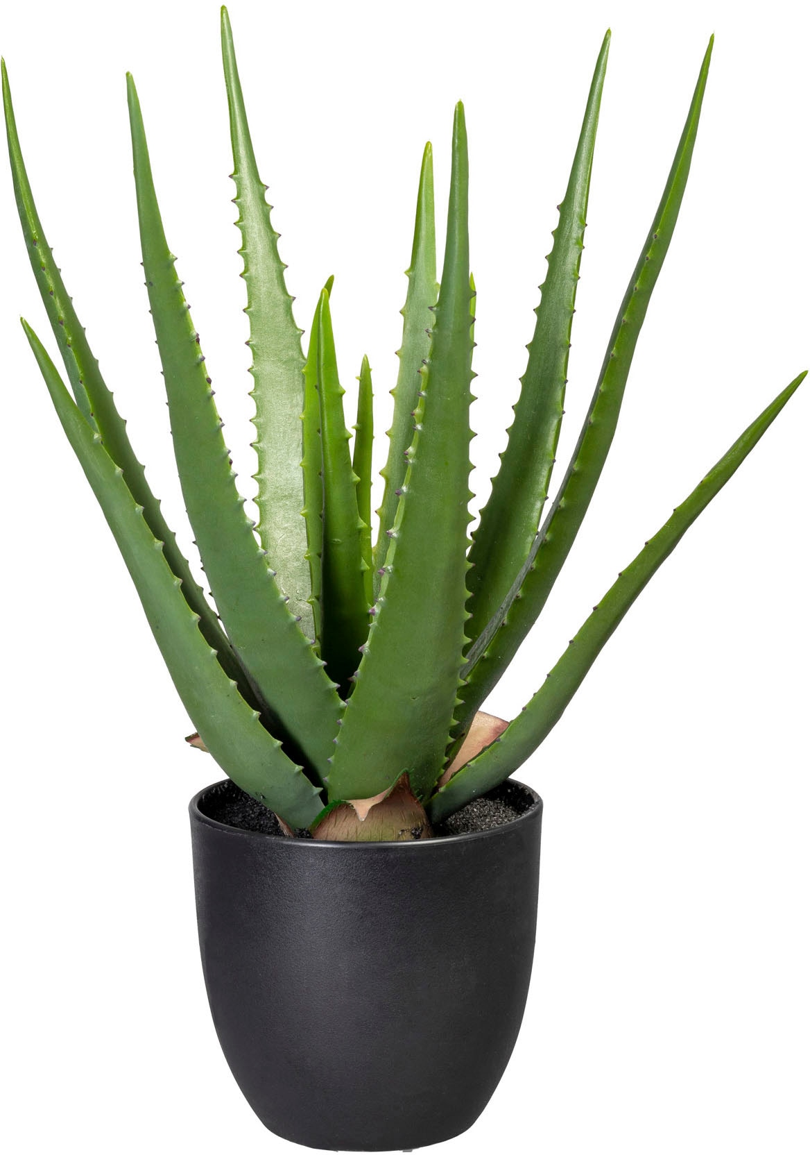 Creativ green Künstliche Zimmerpflanze "Aloe"