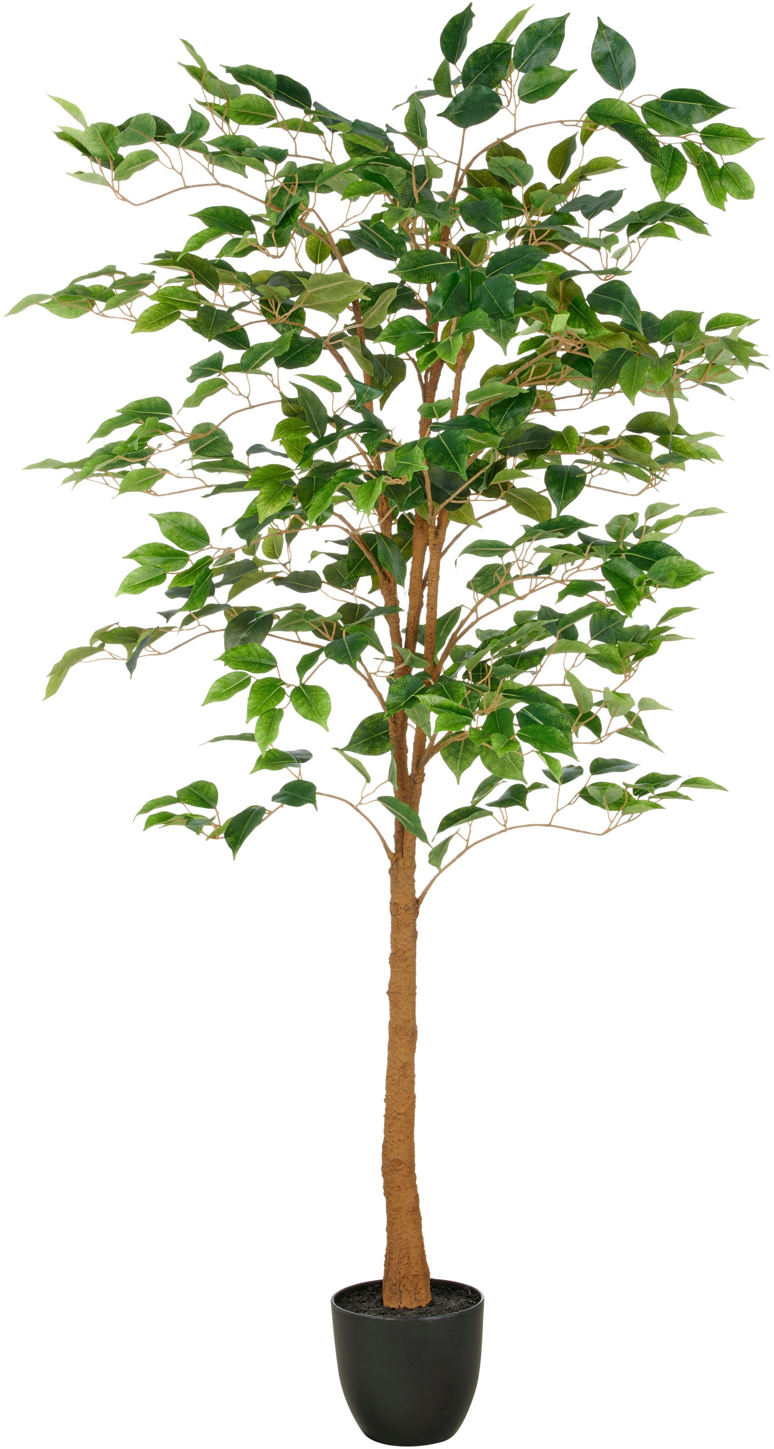 Creativ green Kunstbaum "Ficus Benjamina", mit naturgetreuem Blattwerk und günstig online kaufen