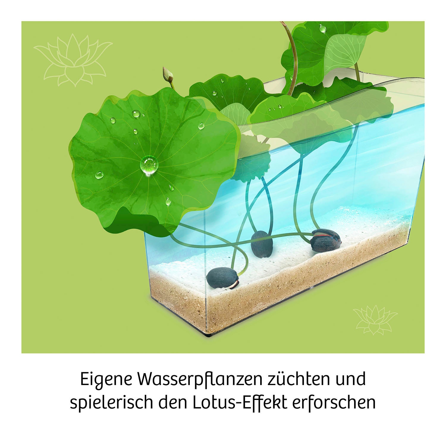 Kosmos Experimentierkasten »Lotusblume«, Made in Germany
