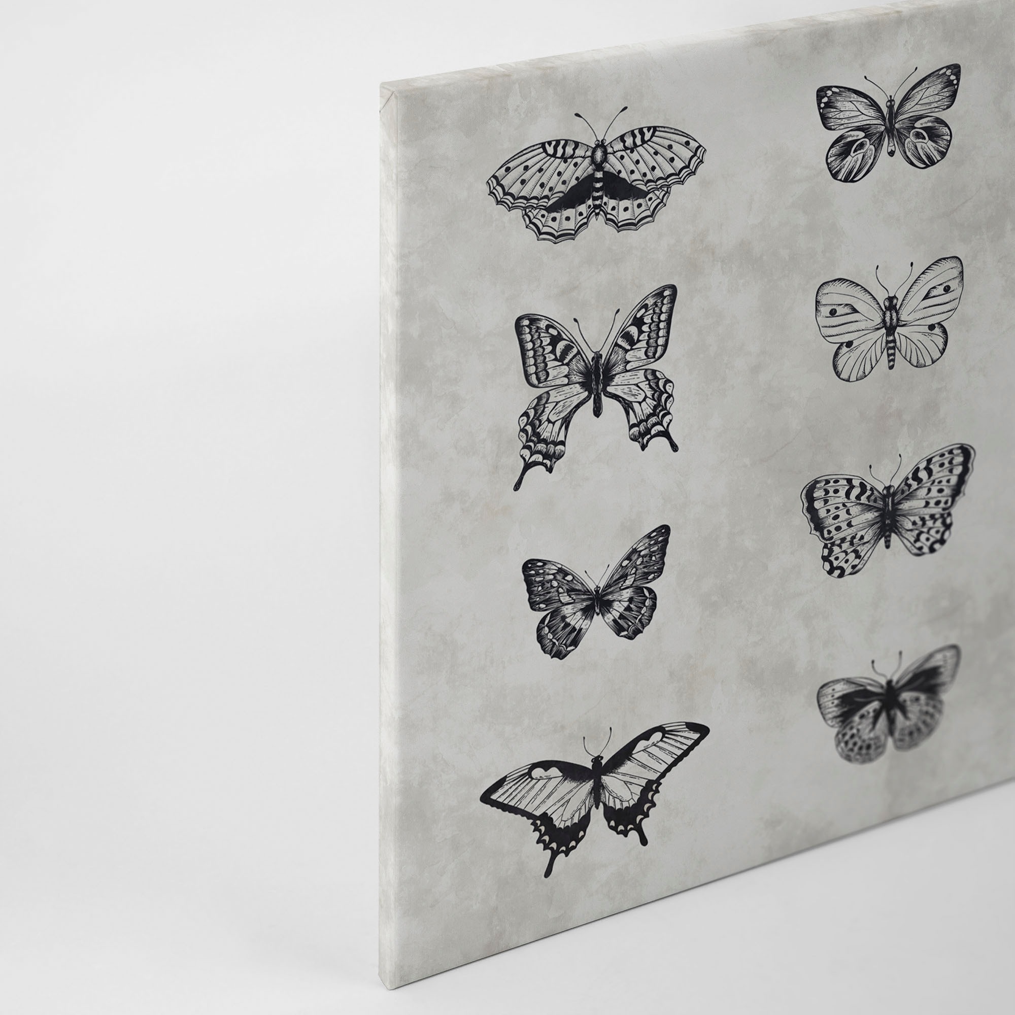 A.S. Création Leinwandbild »sketchpad 3«, Kunst-Gemälde-Kinder, (1 St.), Schwarz-Weiß Zeichnung Schmetterling Keilrahmen Leinwand-Bild Kinder