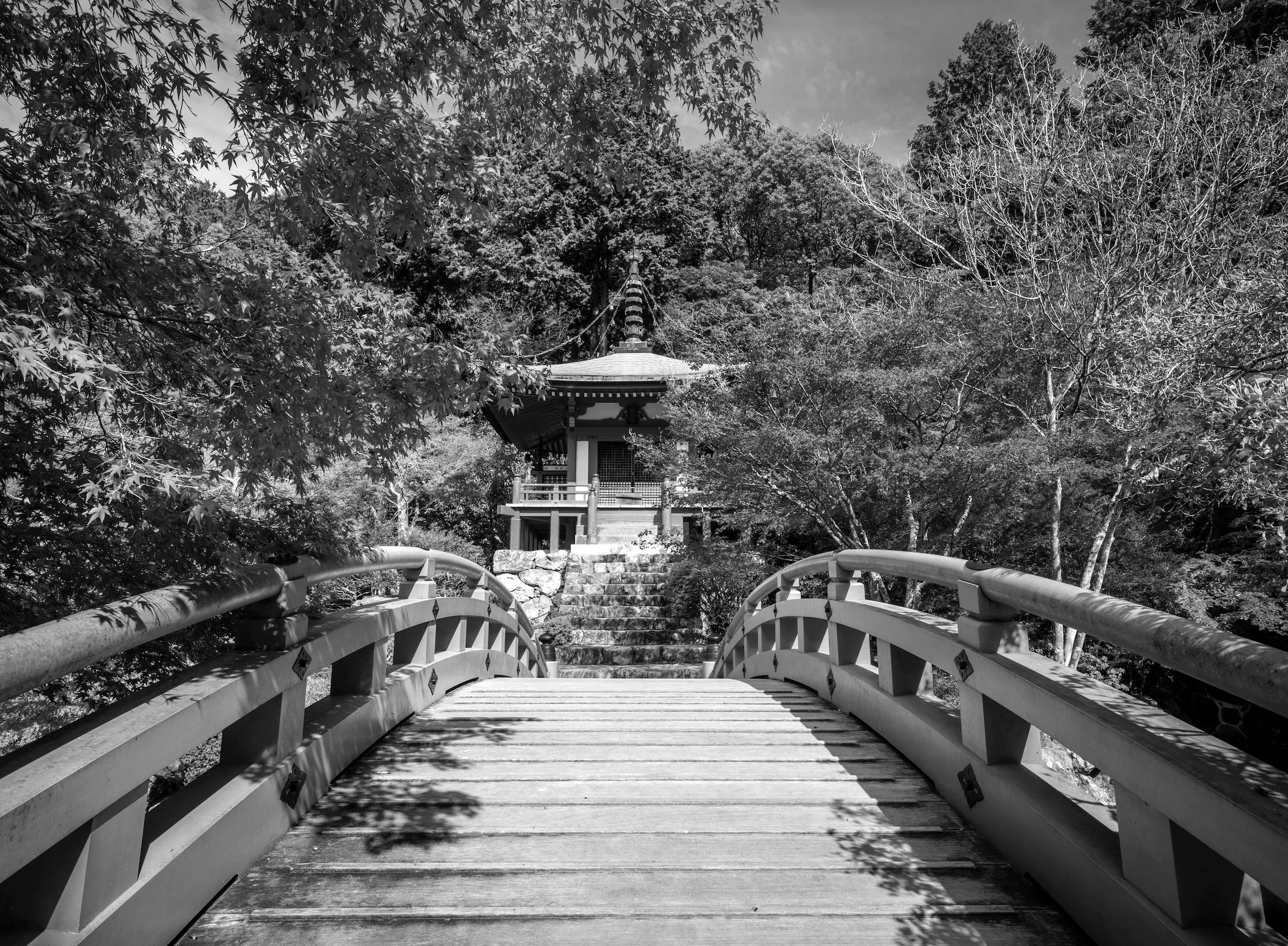Papermoon Fototapete "Japanischer Garten Schwarz & Weiß" günstig online kaufen