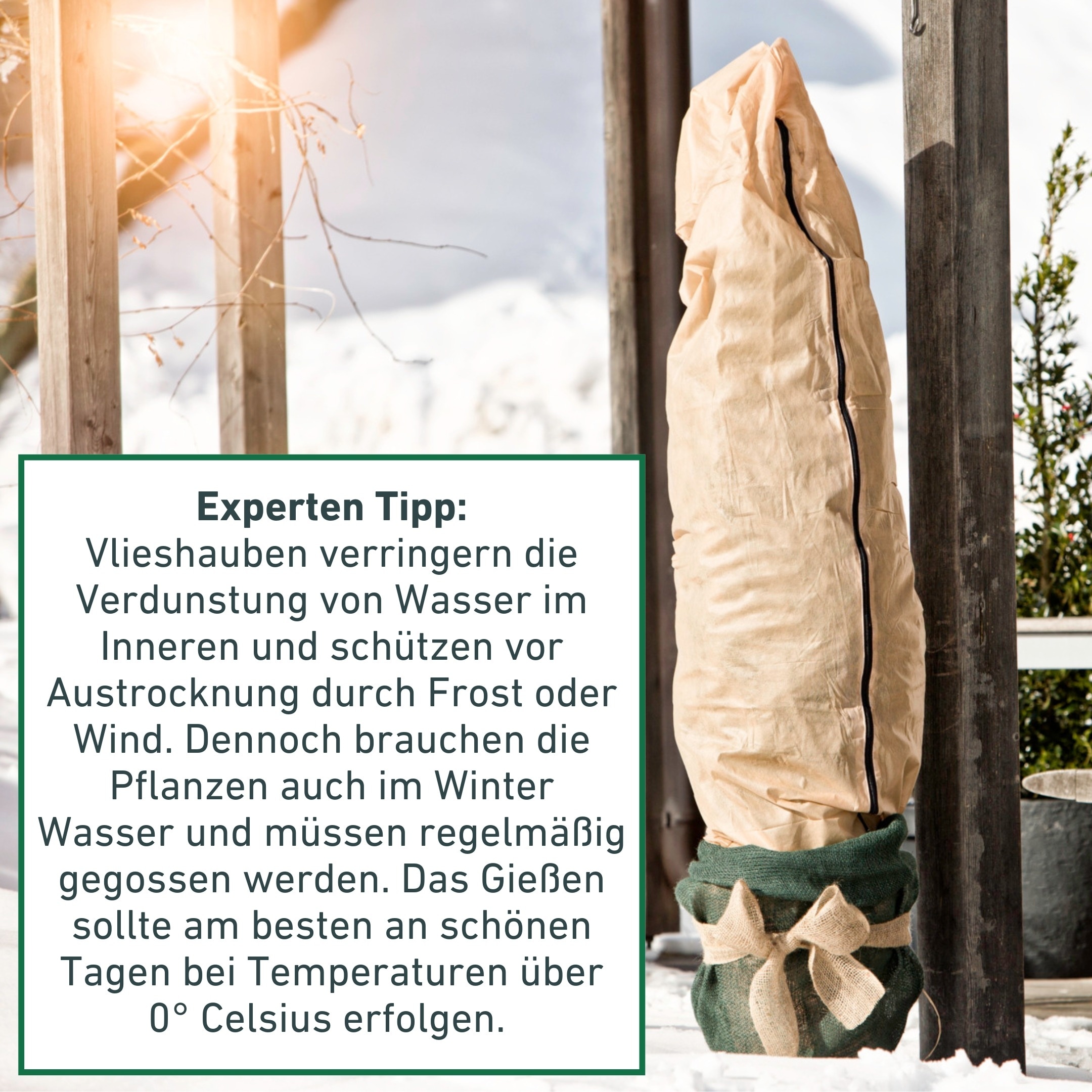 Windhager Winterschutzvlies »Winterschutz für Pflanzen mit Vogelmotiv, Vlieshaube« wasser- und luftdurchlässig, 1,4x2 m, Stärke 50 g/m2