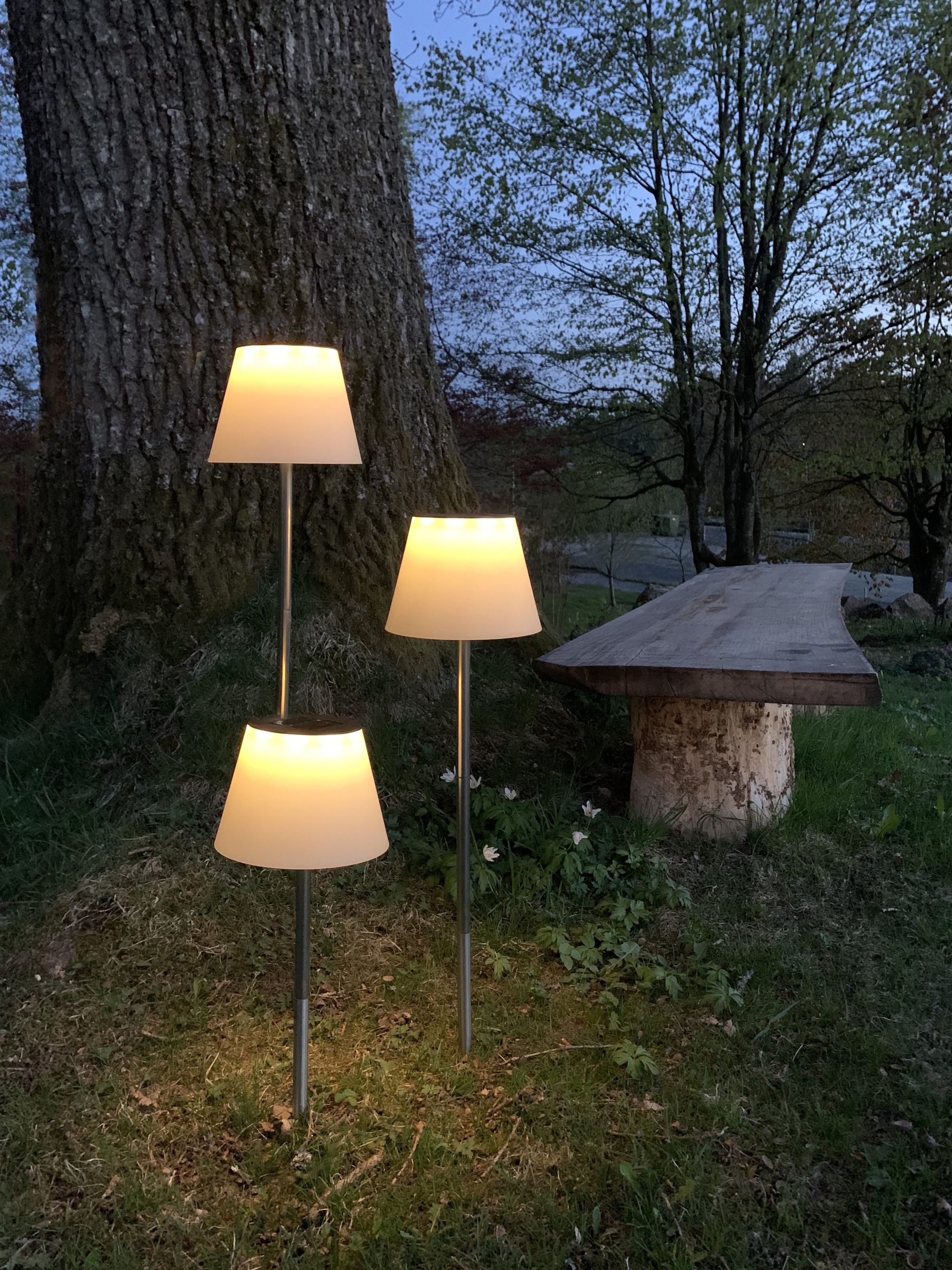 Parforce Traditional Hunting LED Solarleuchte »Solarlampe Solini« LED-Board 1 Stk. Warmweiß variable Höhe bis 90cm, weißer Schirm, 15lm, Dämmerungssensor