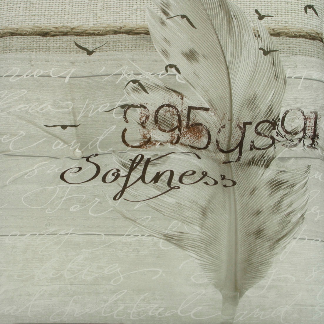 GO-DE Dekokissen "Klara" 2er Set günstig online kaufen